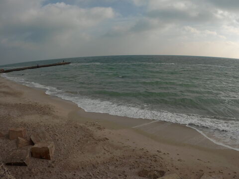 PUBLIC beach & club image 7