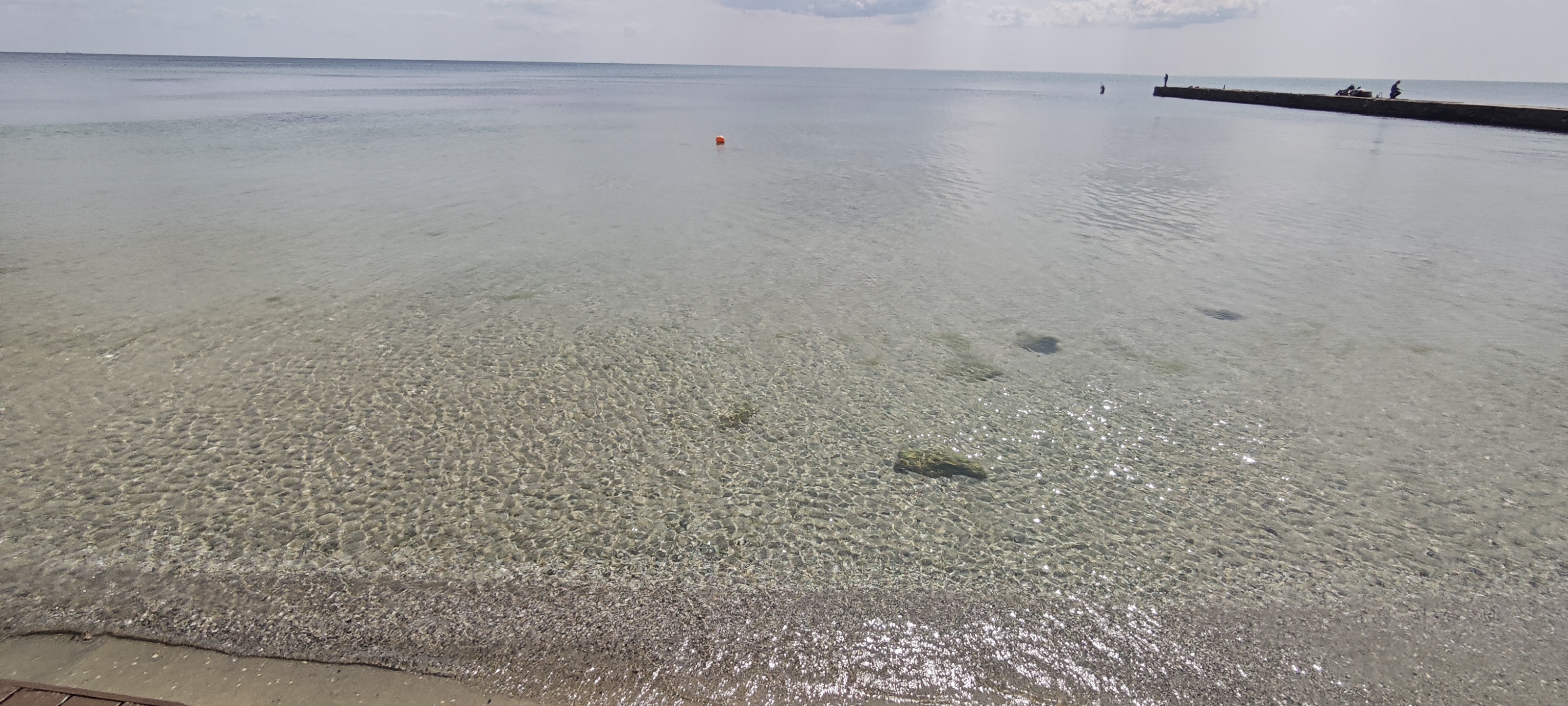 PUBLIC beach & club image 8