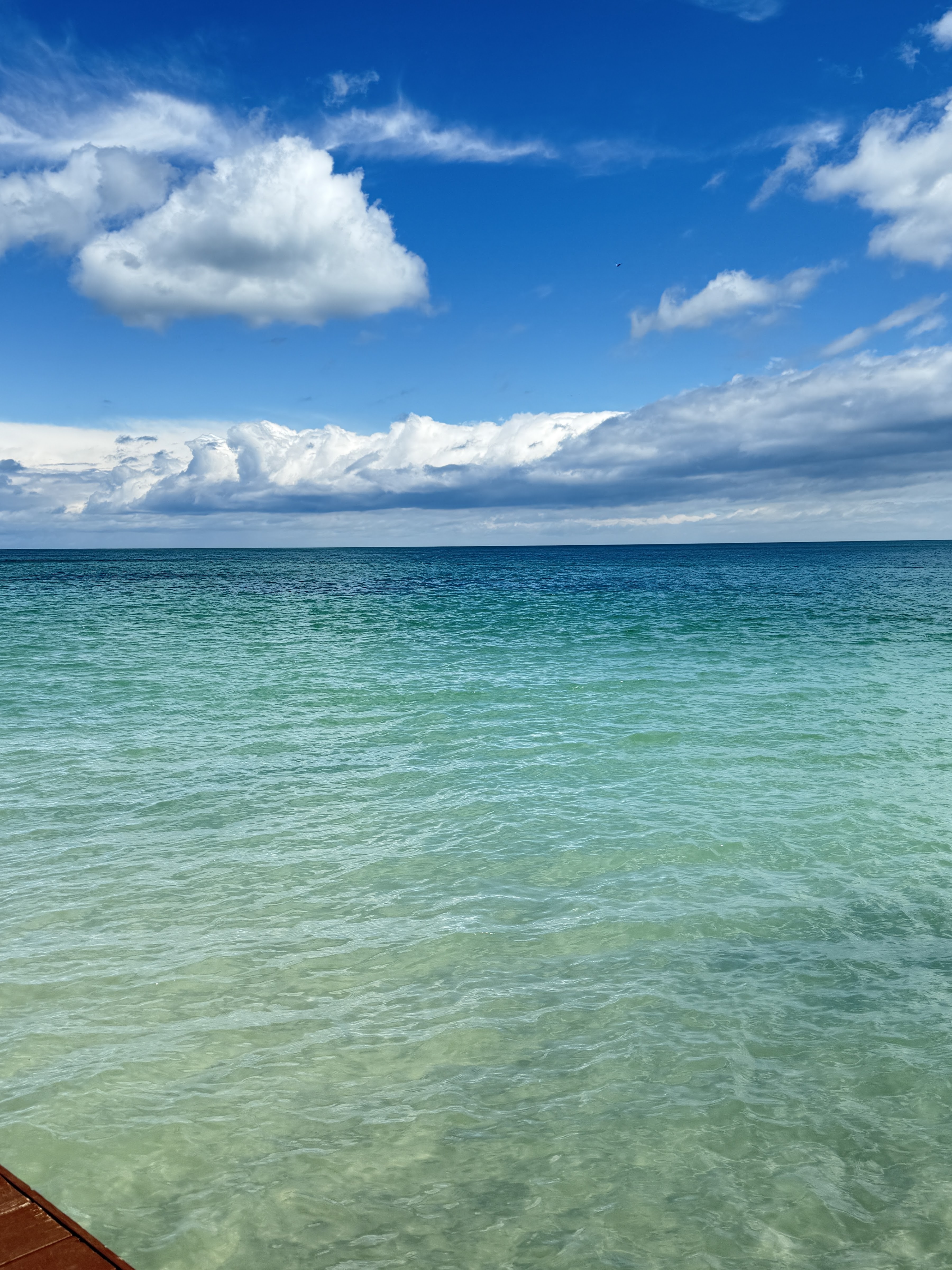 PUBLIC beach & club image 10