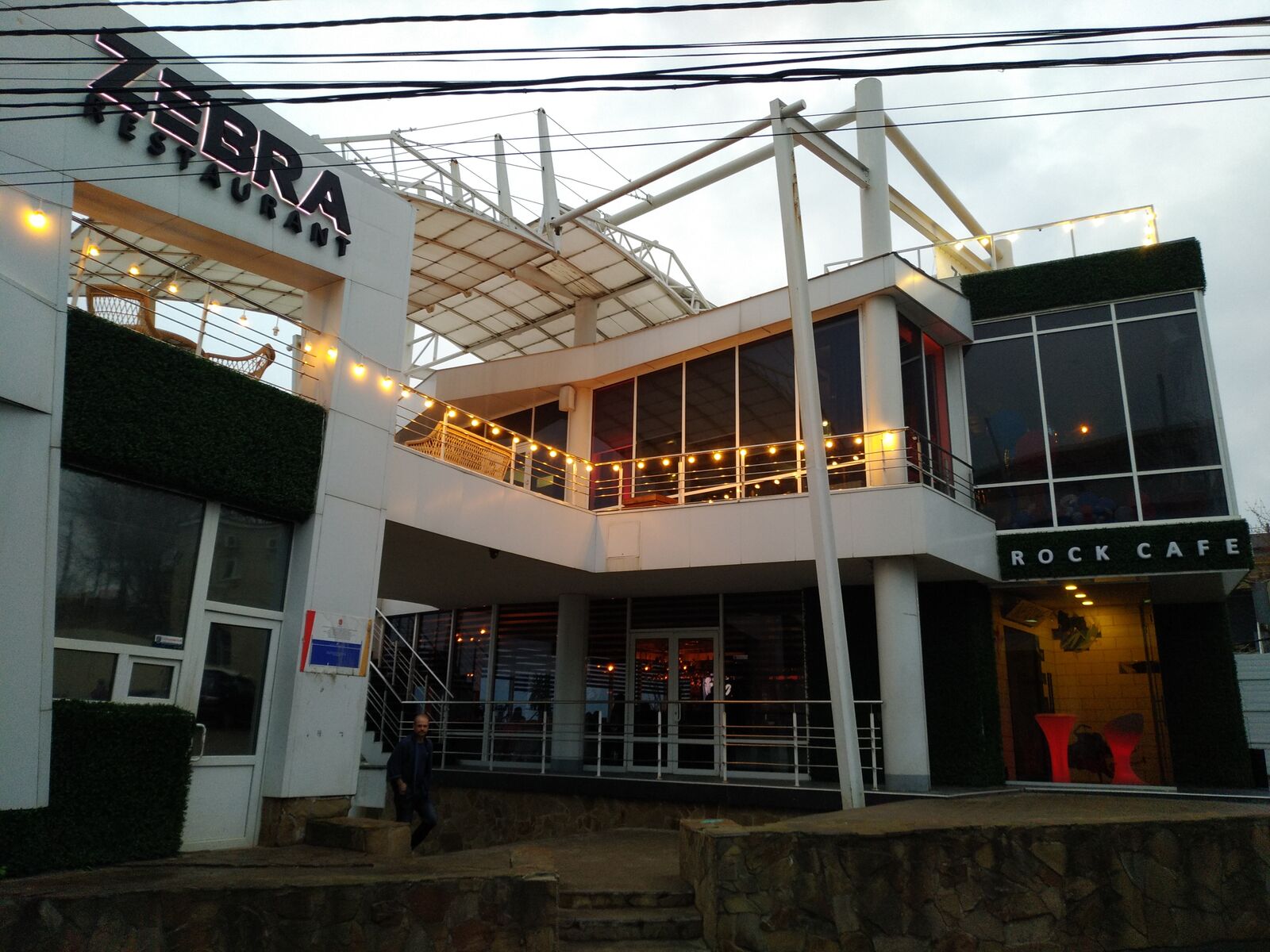 Zebra image 1