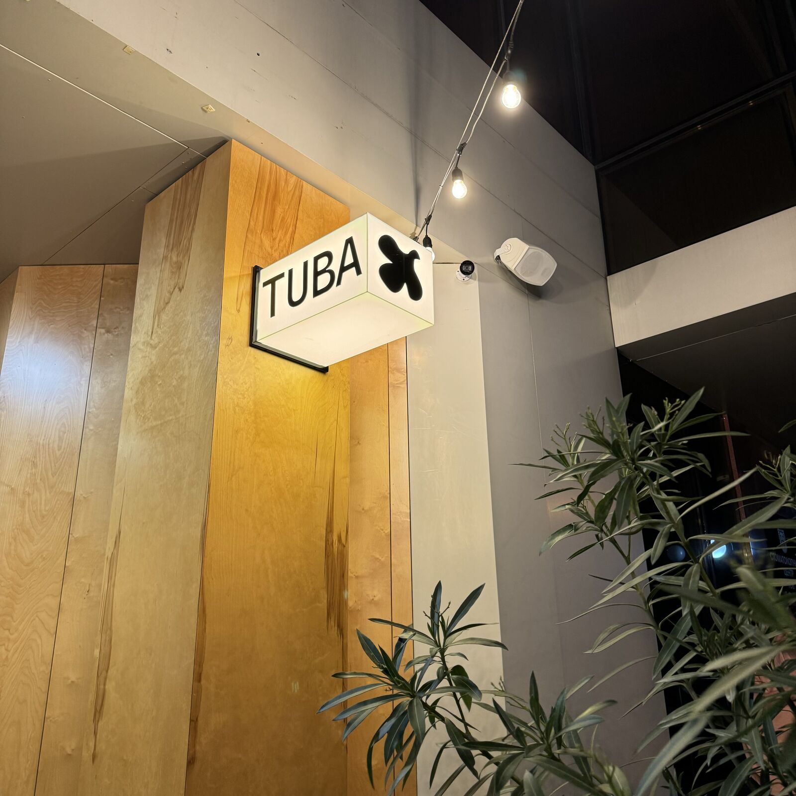 TUBA image 1