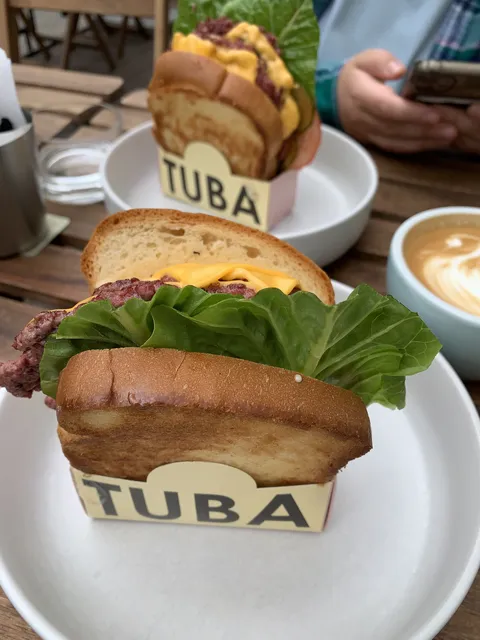 TUBA image 5