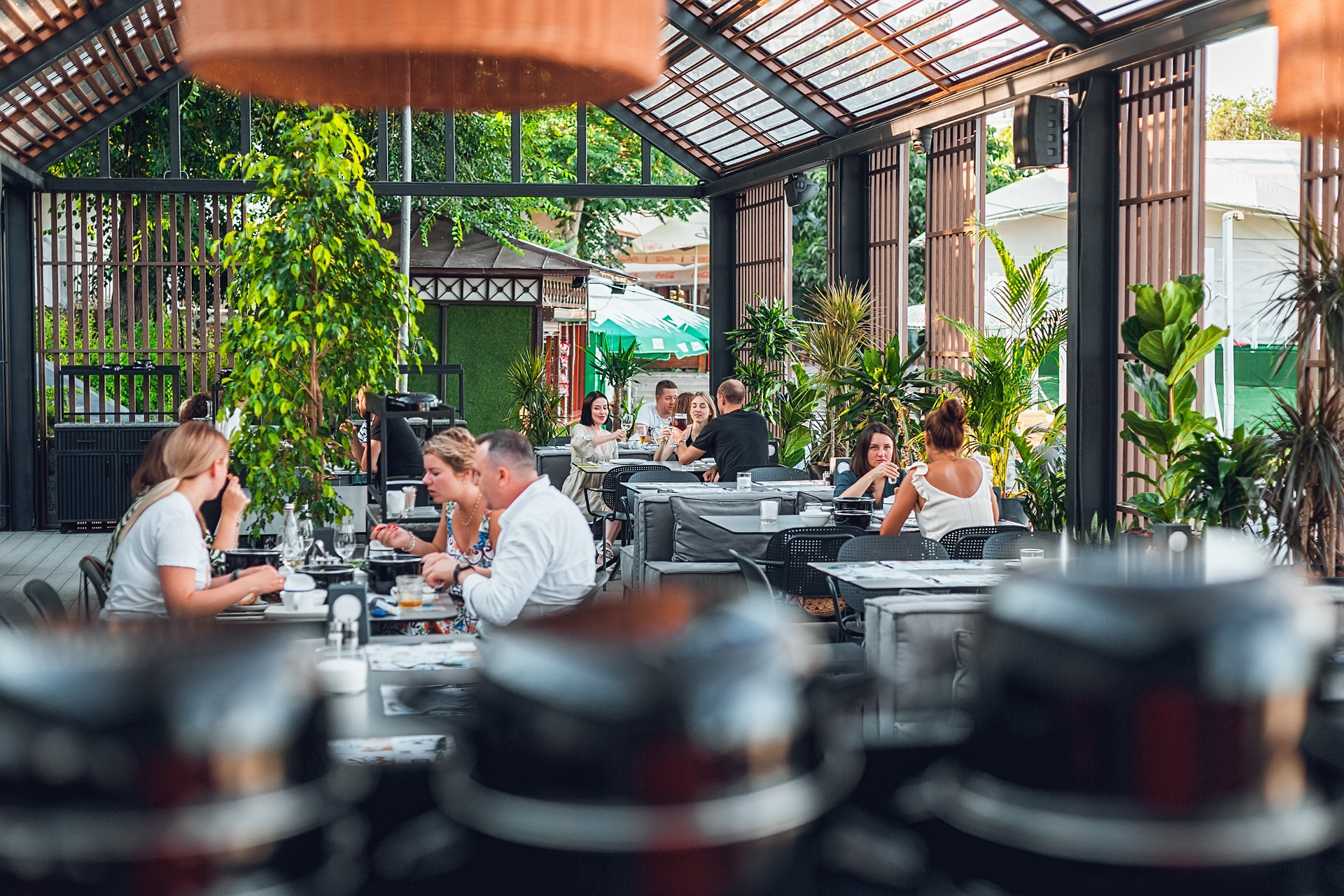 Kotelok - Бар Мідій image 1