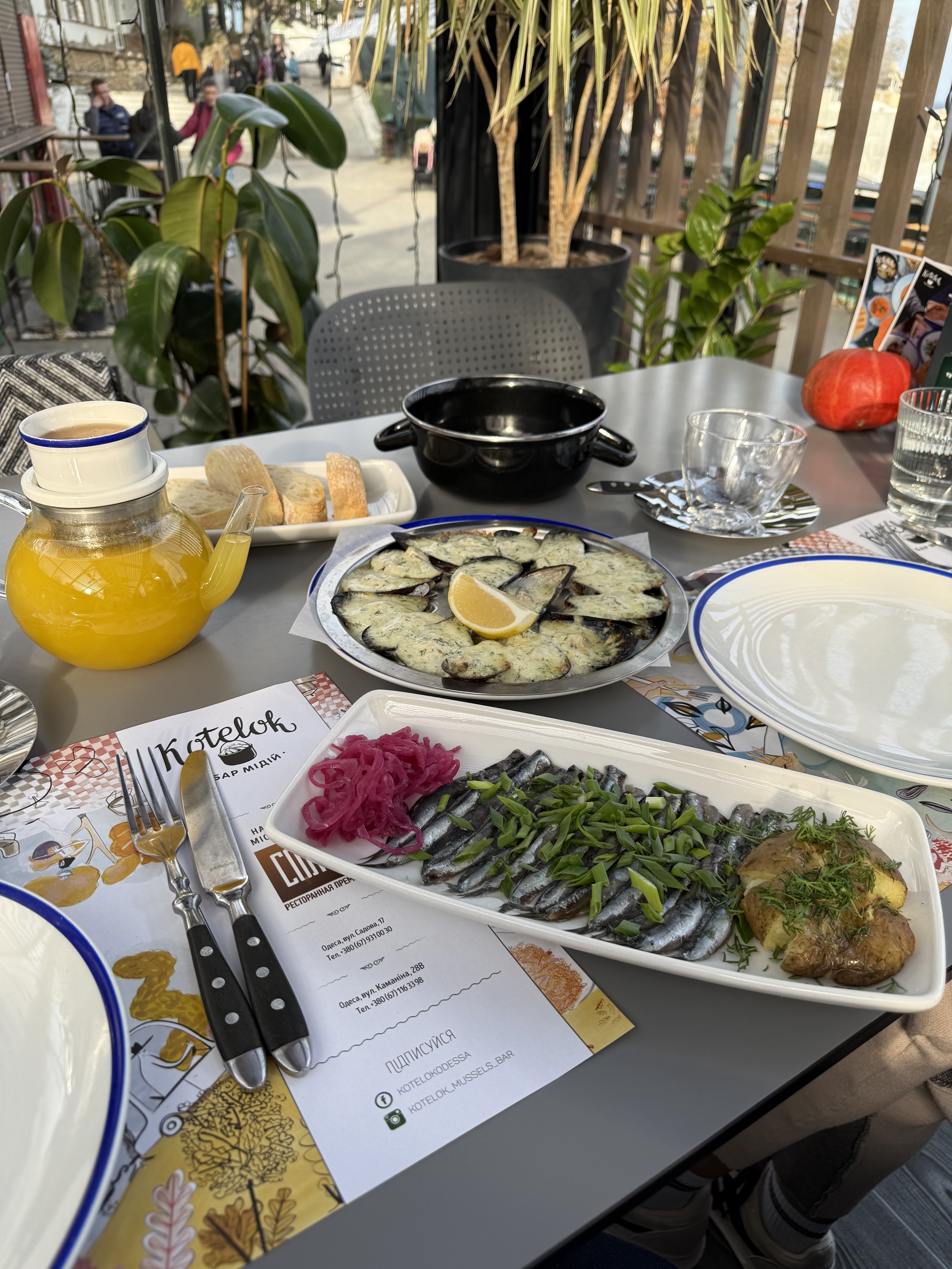 Kotelok - Бар Мідій image 5