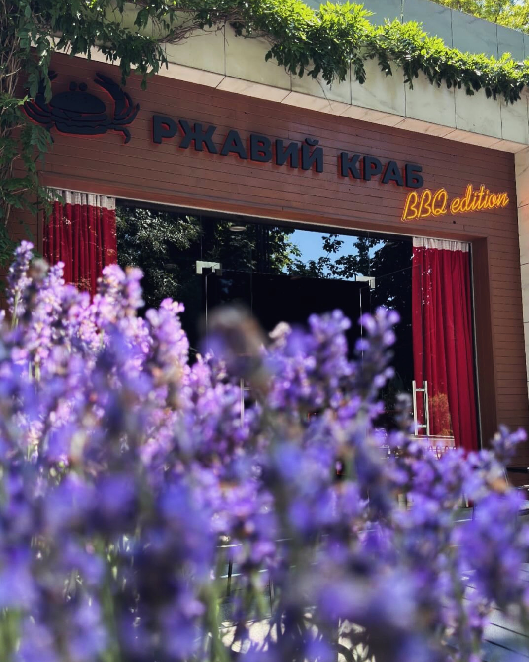 Rzhavyy Krab . Arcadia image 9