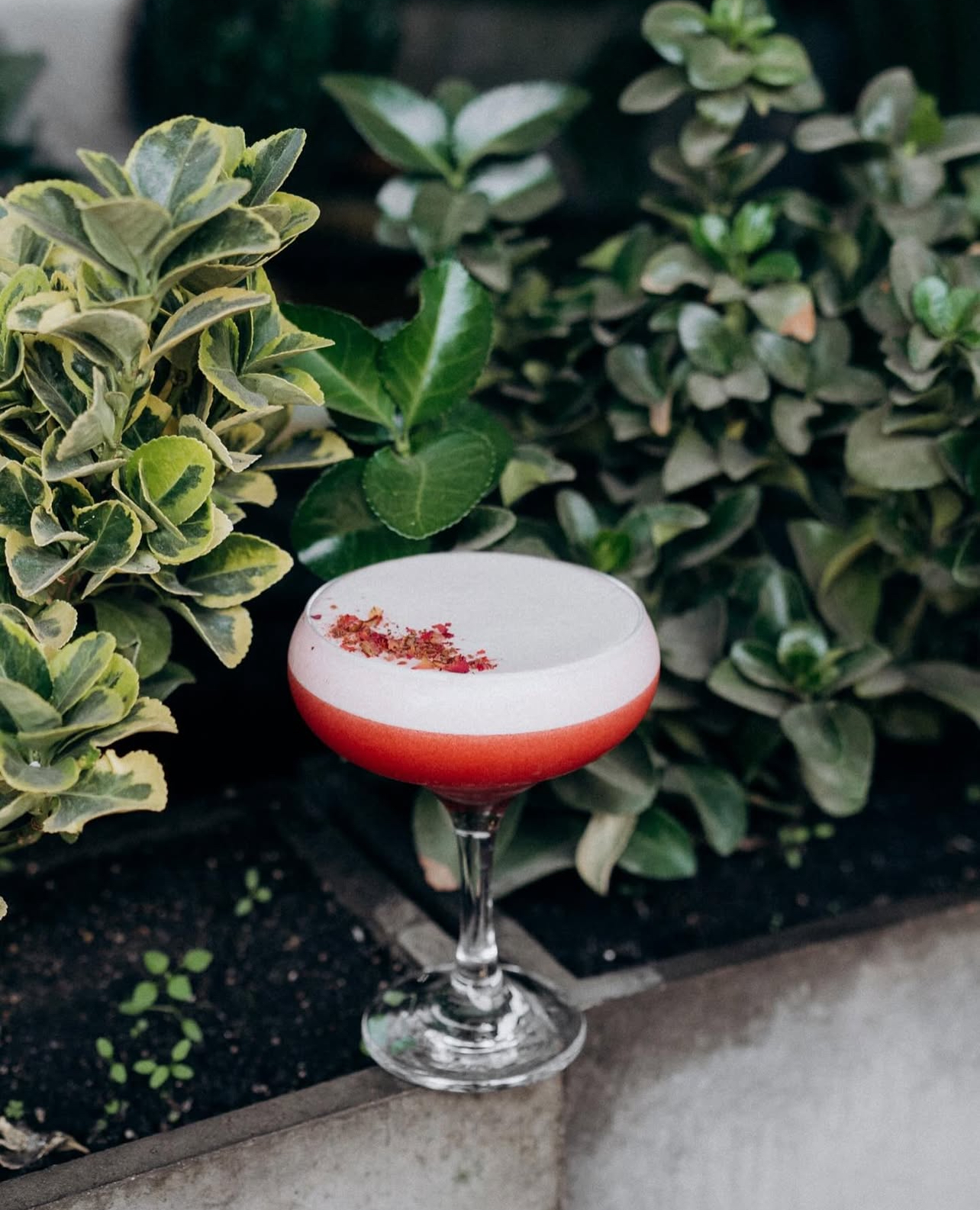 Ресторан Chili image 9