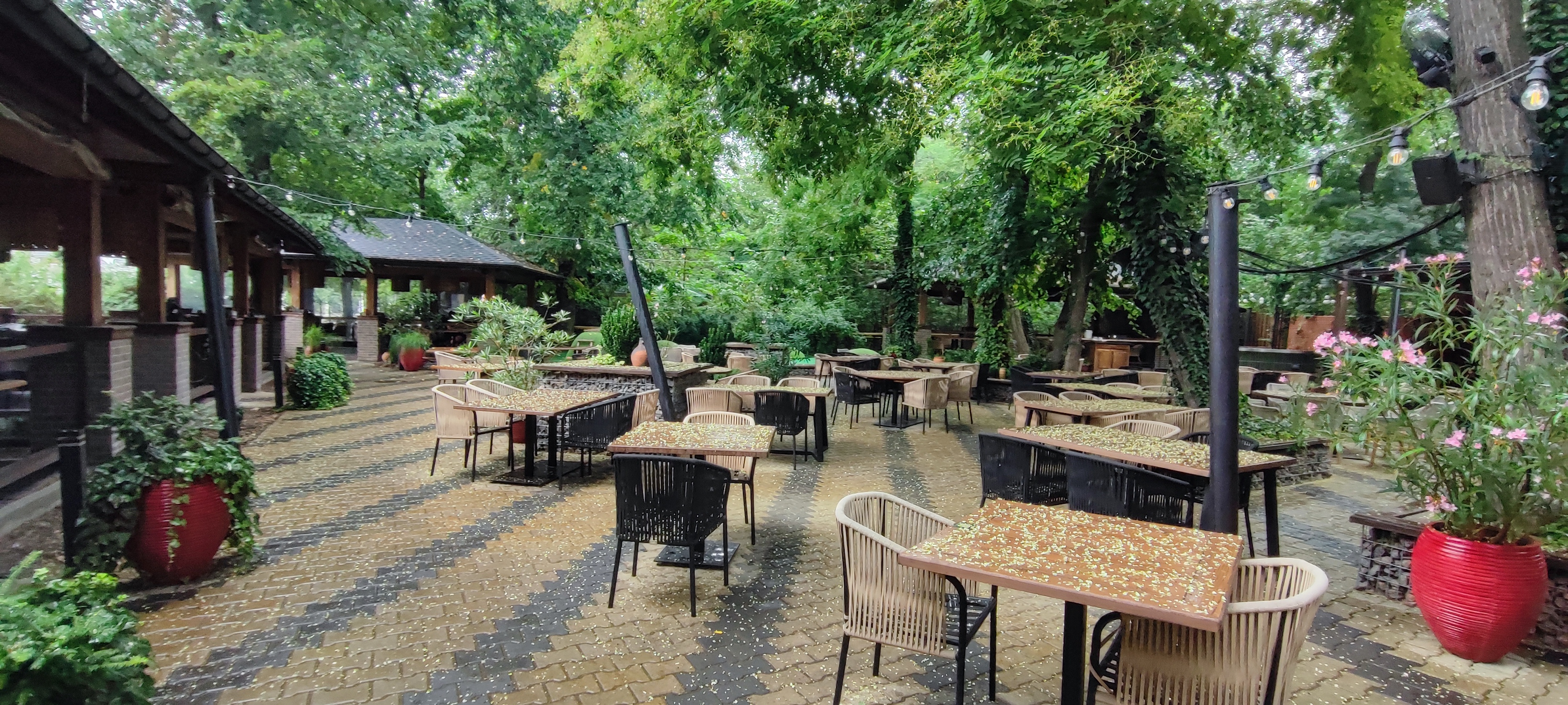 Три Барашка image 1