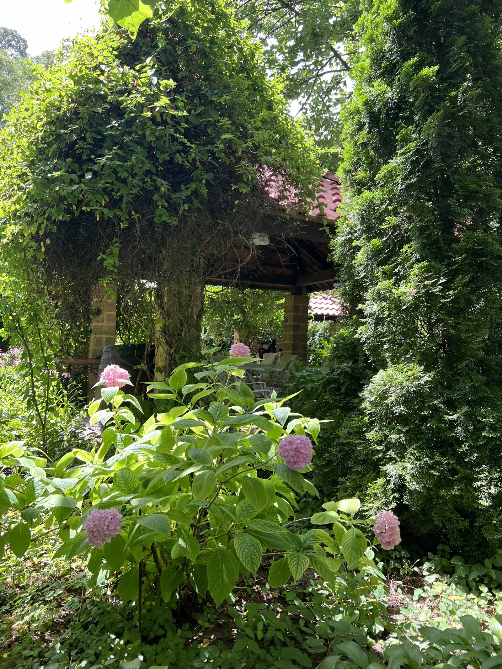 Horetsʹ image 9
