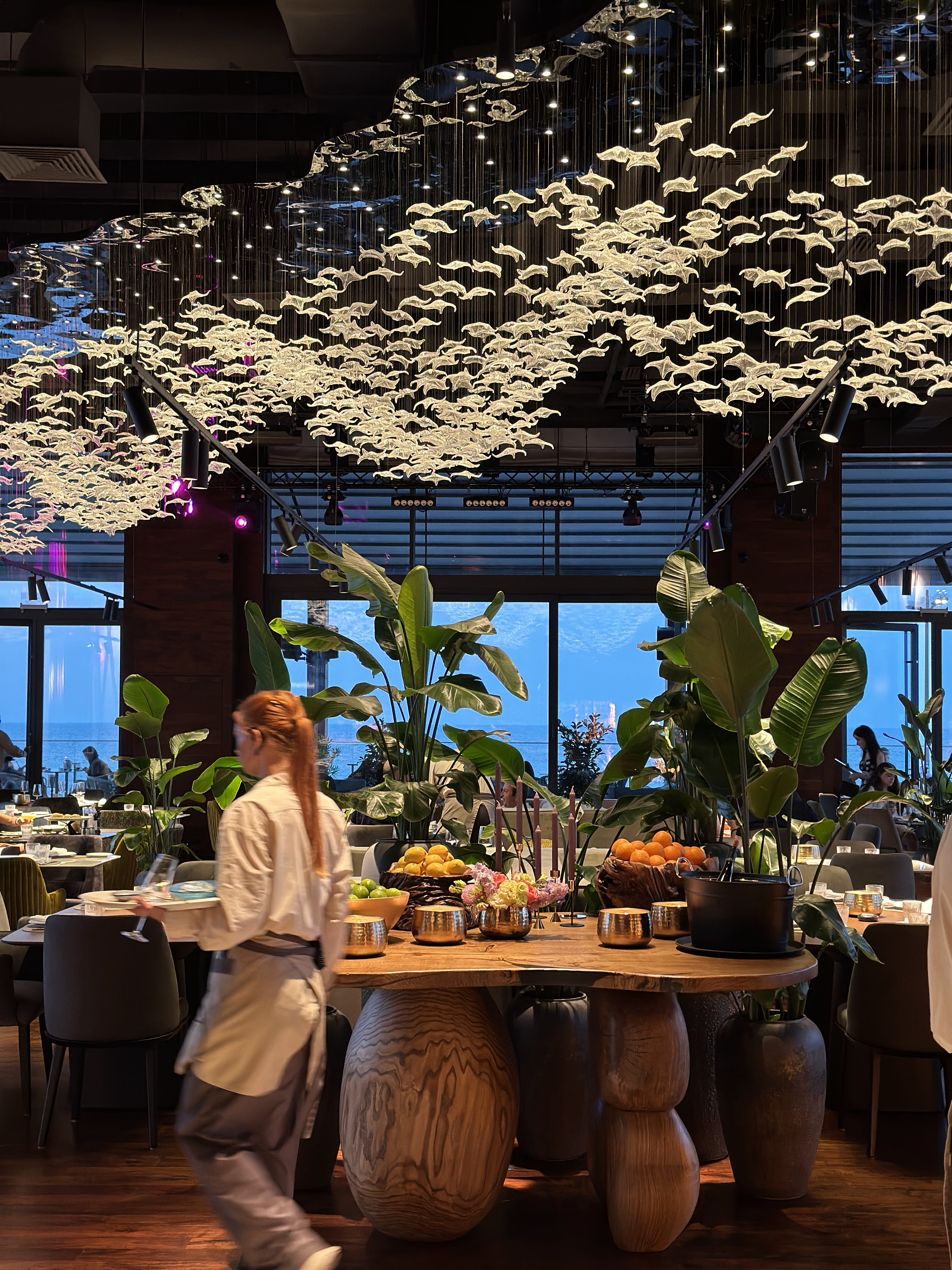 IKEDA Aqua Kitchen Studio image 3