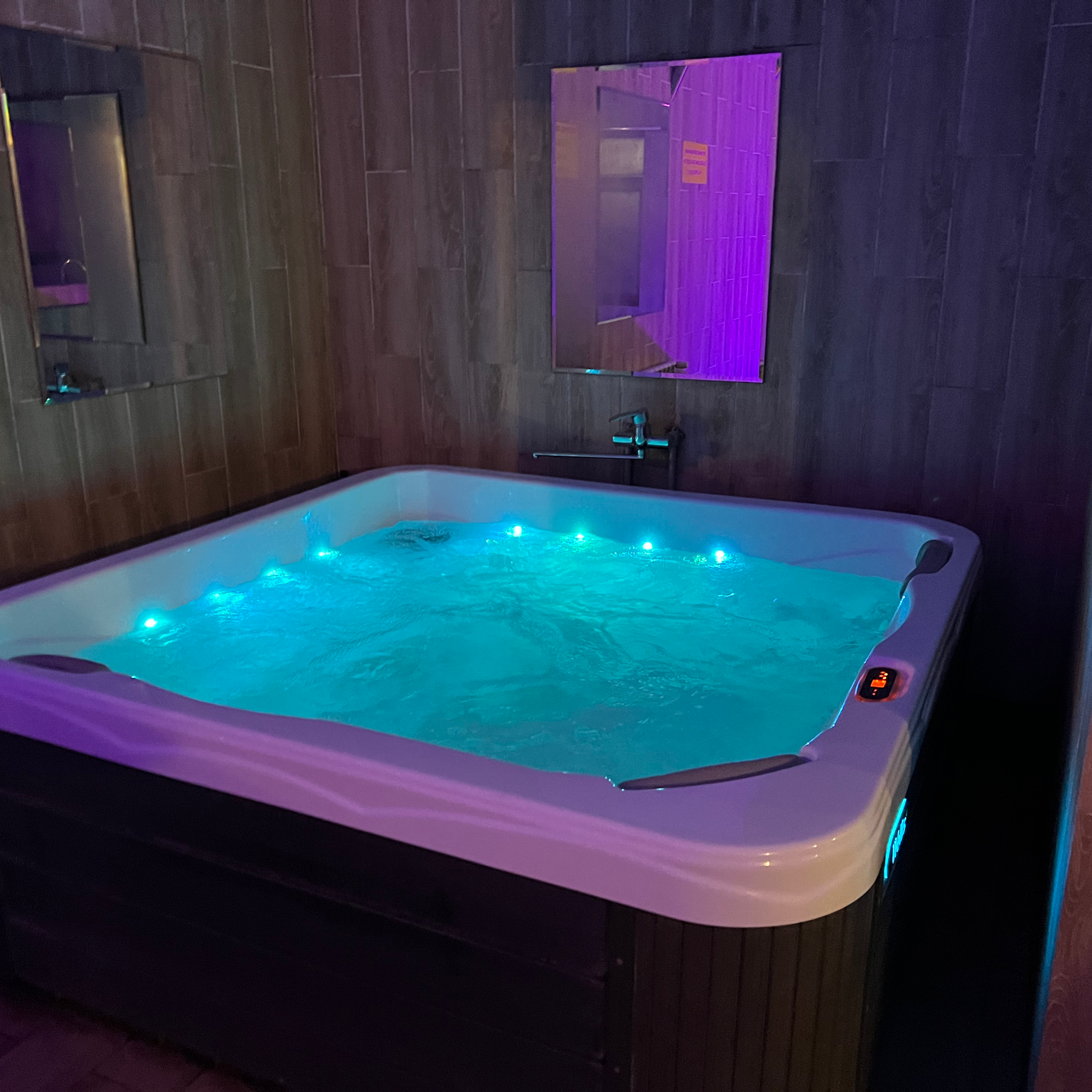 Hostynyy Dvir "Nadiya" image 6