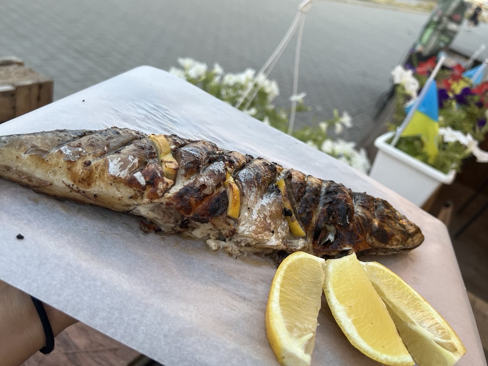 Напитки,тарань, шашлык image 10