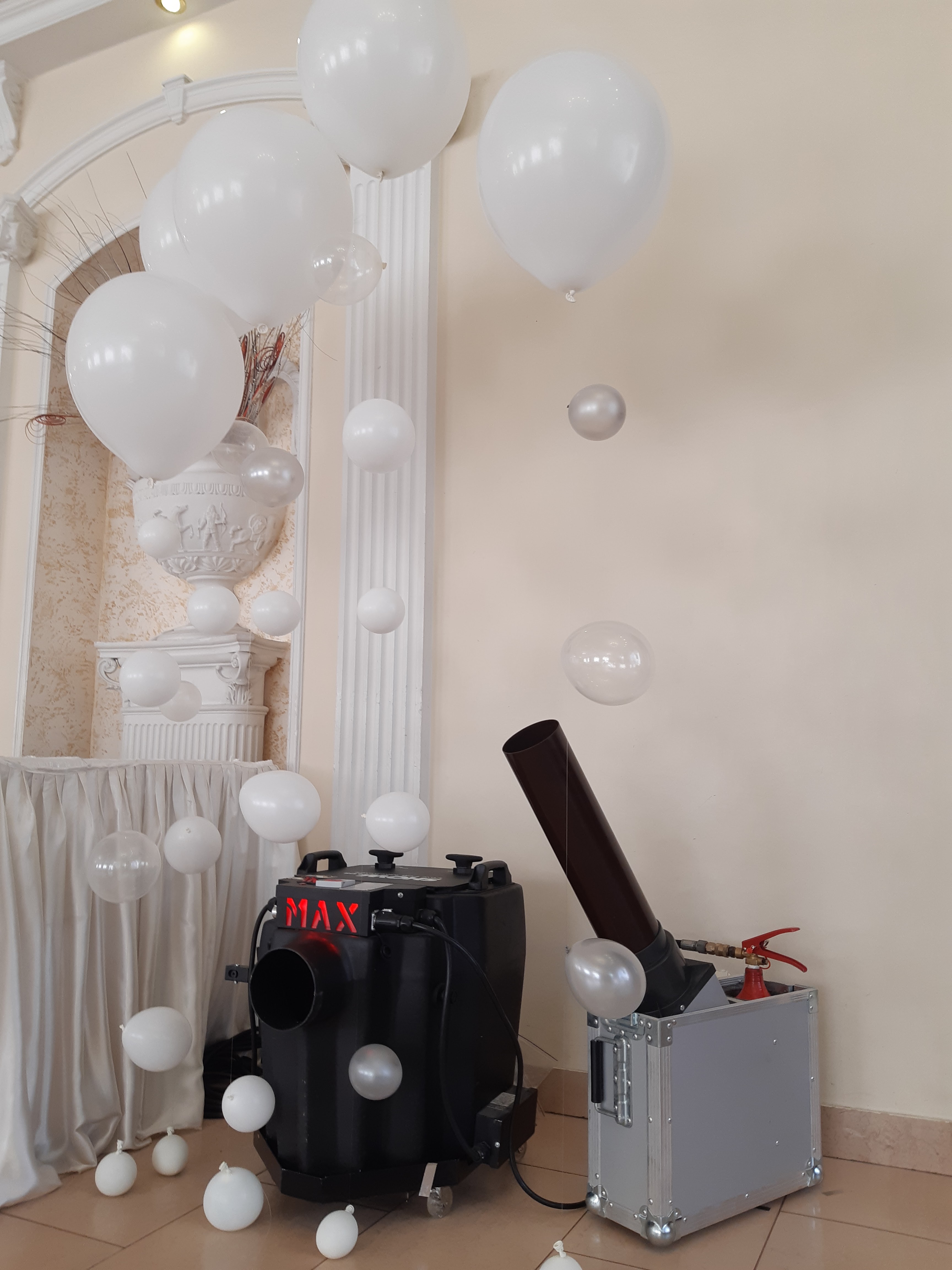 ЦВЄТОК ВЄРОНИ РЕСТОРАН image 5