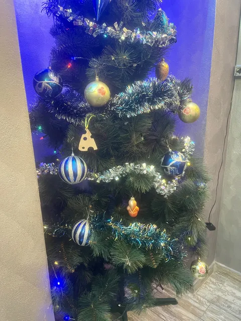 Шана Бон image 5
