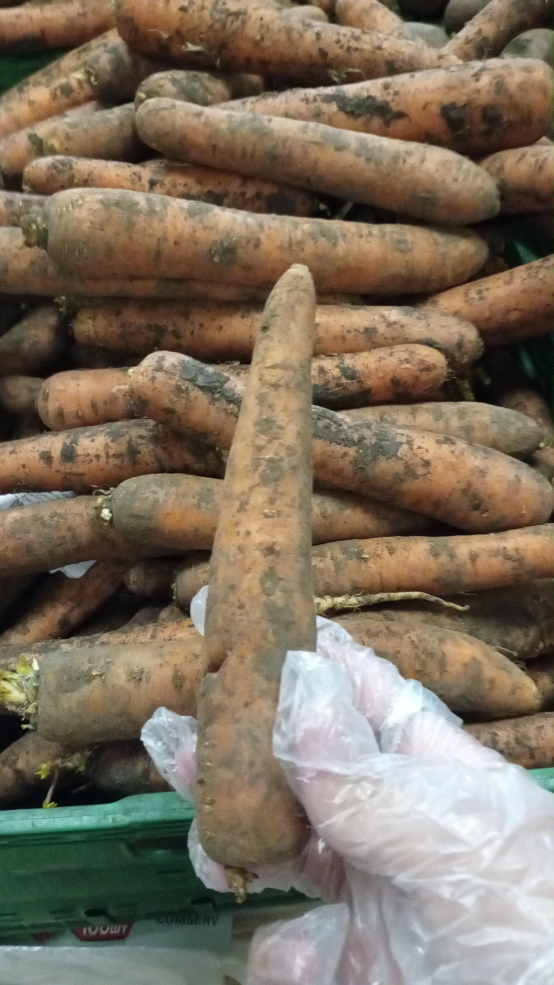 Numidia Food image 3