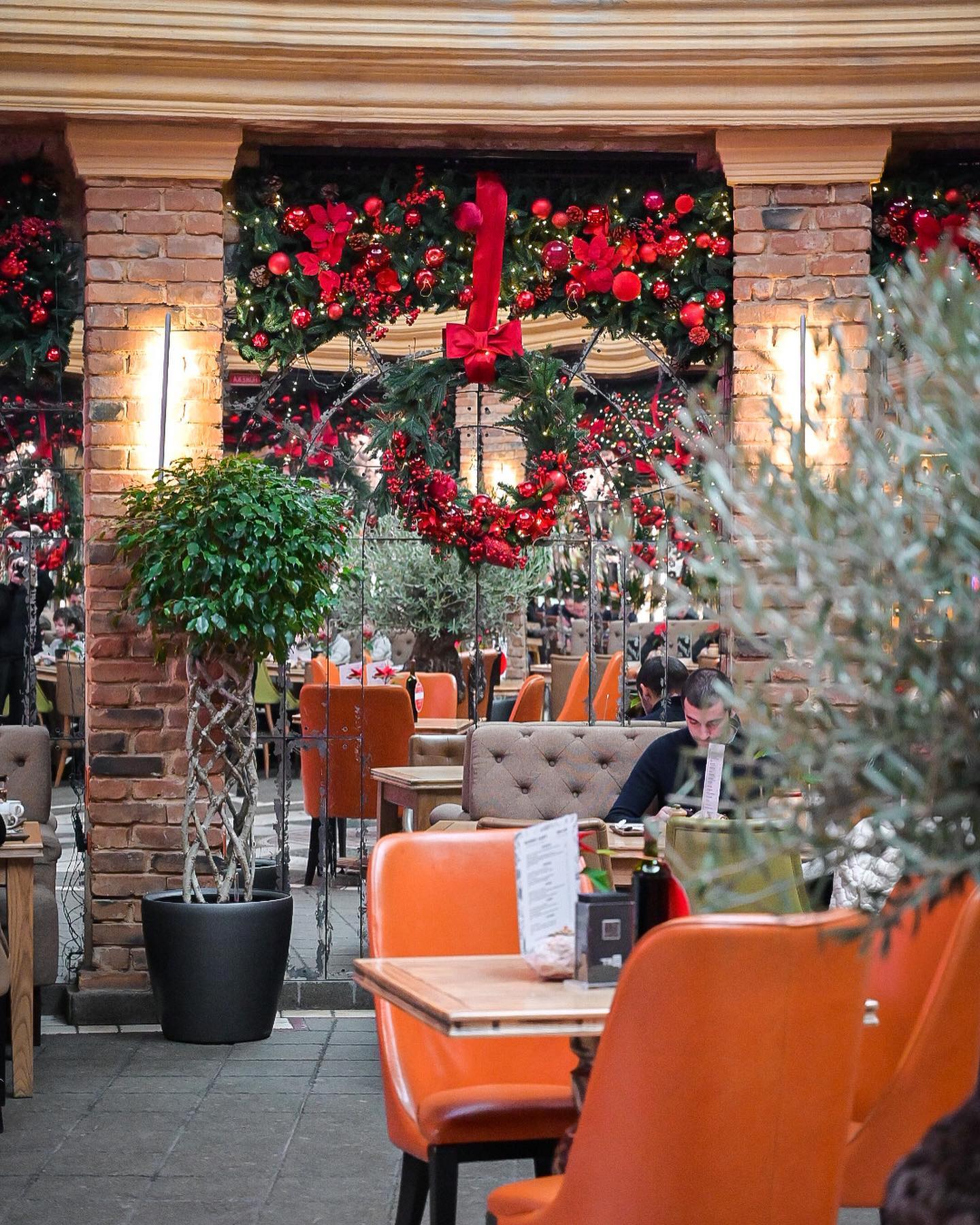 TREF cinema cafe image 1