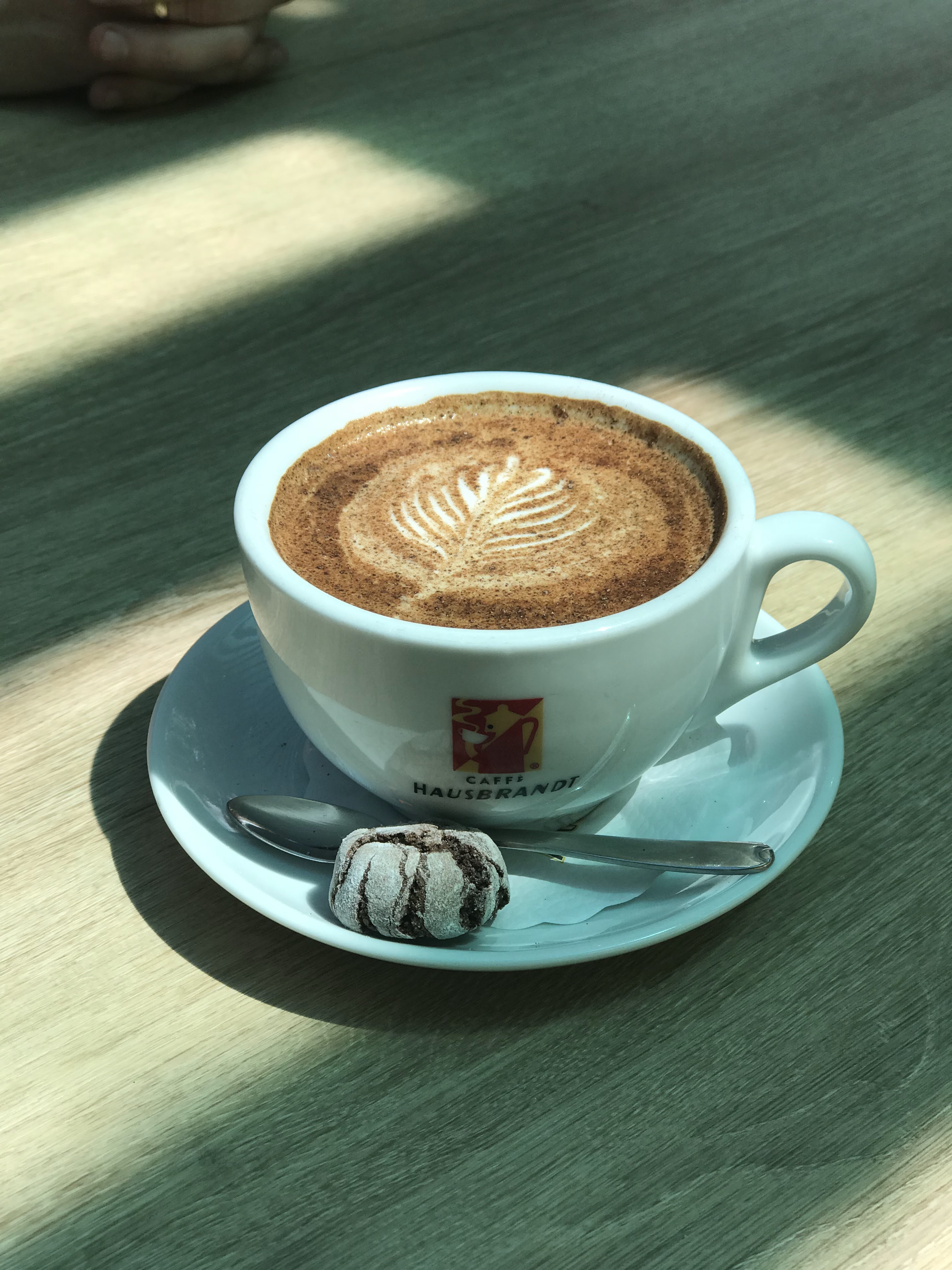 TREF cinema cafe image 9