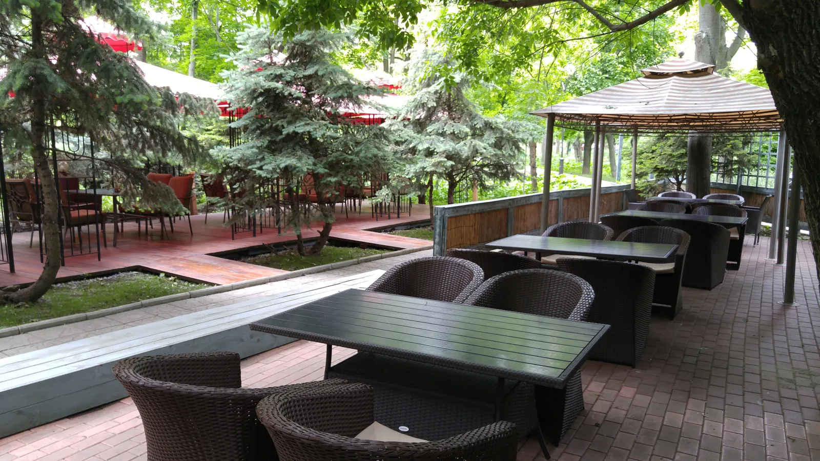Sehed Kafe image 1