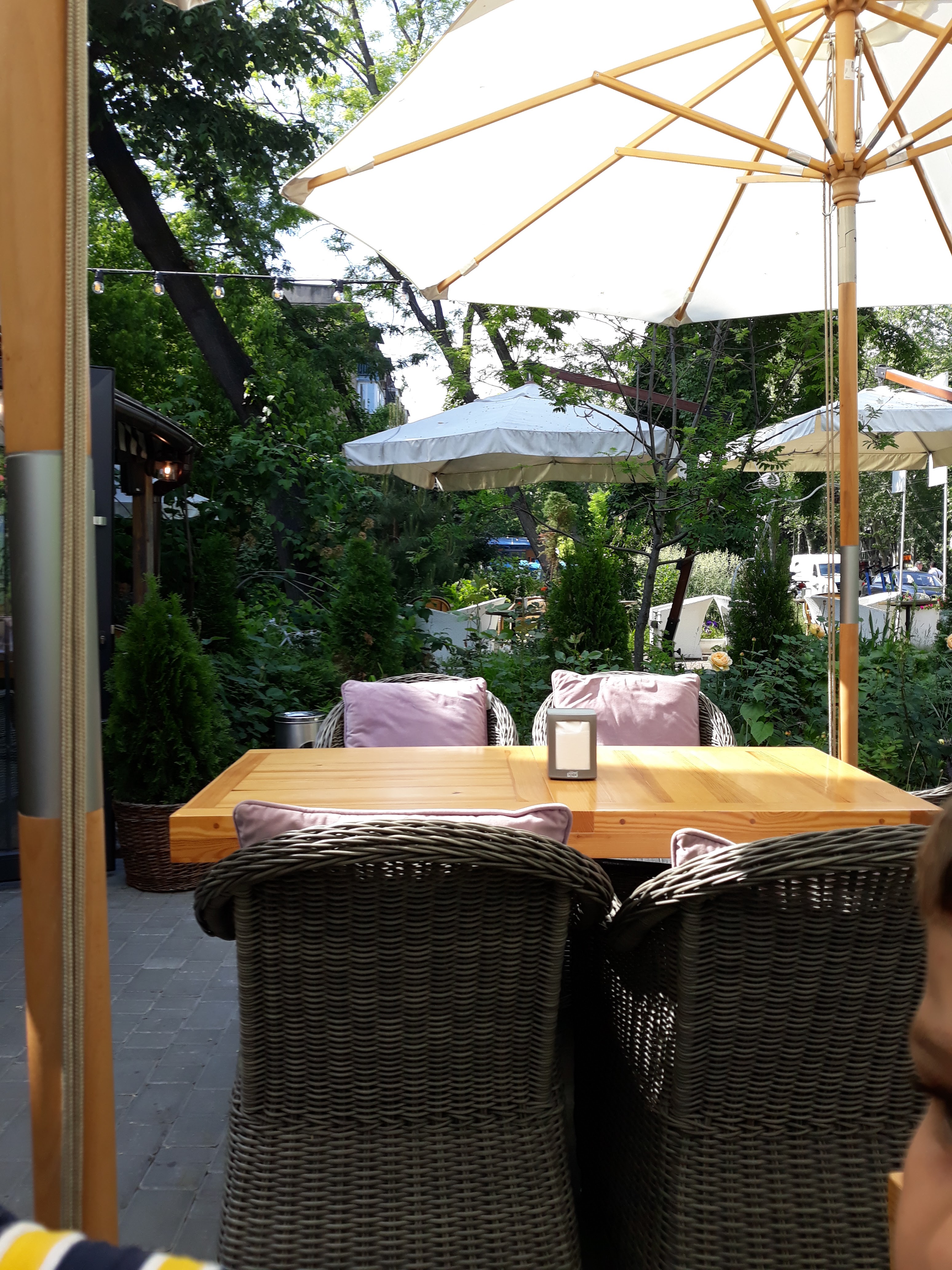 Domashnii ochah image 1