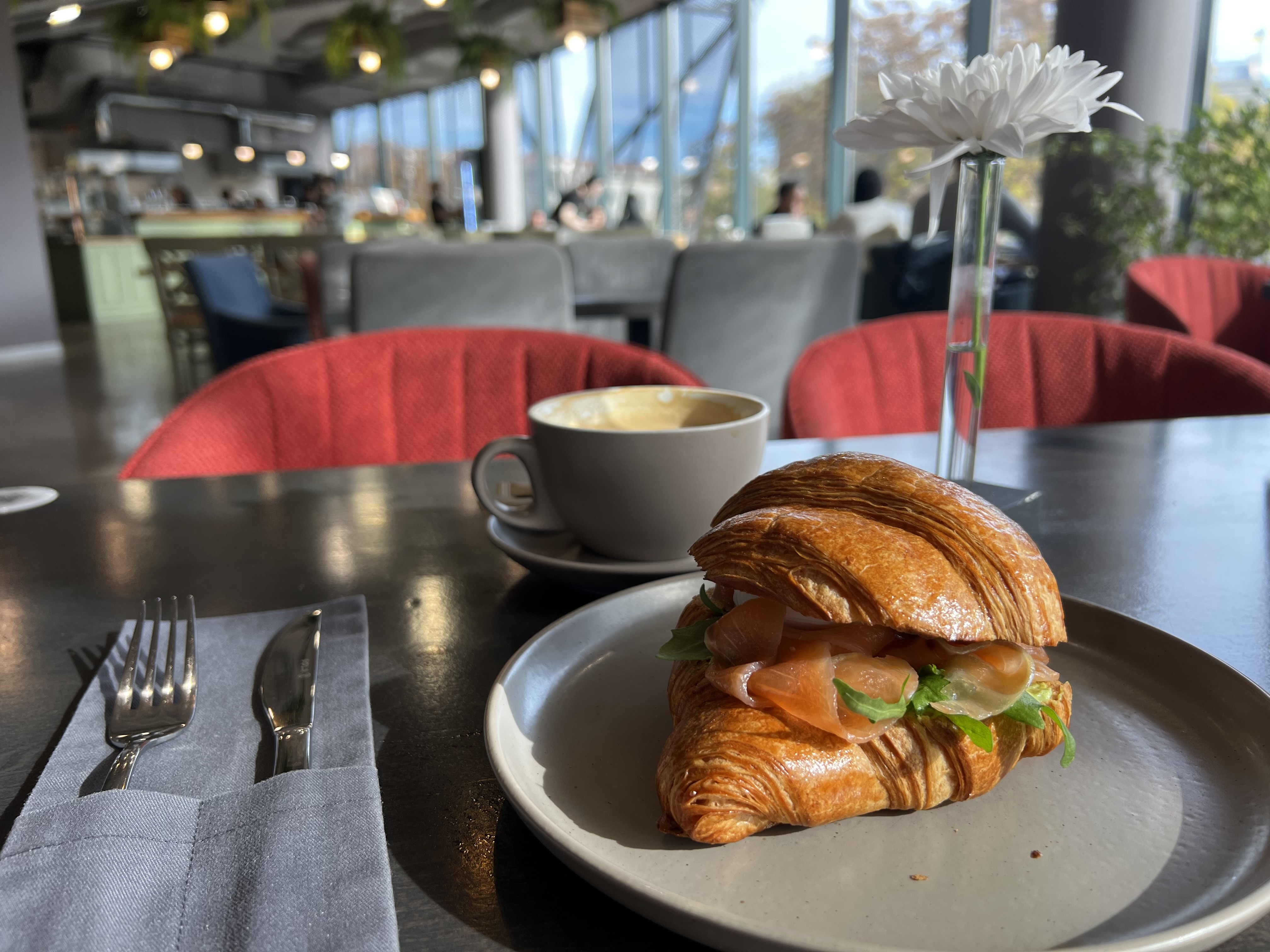 SalSa pizza & pasta image 3