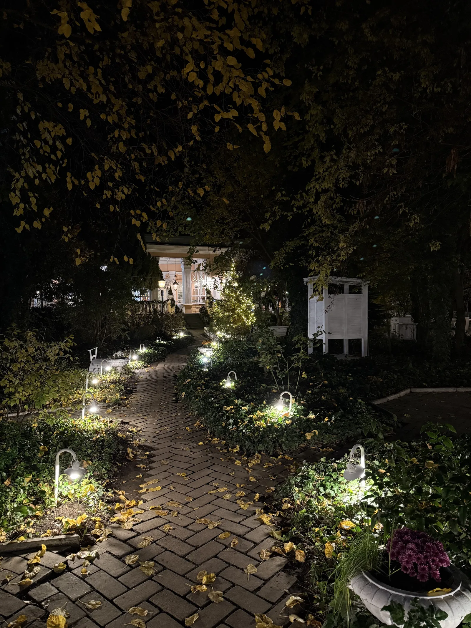Dacha image 10