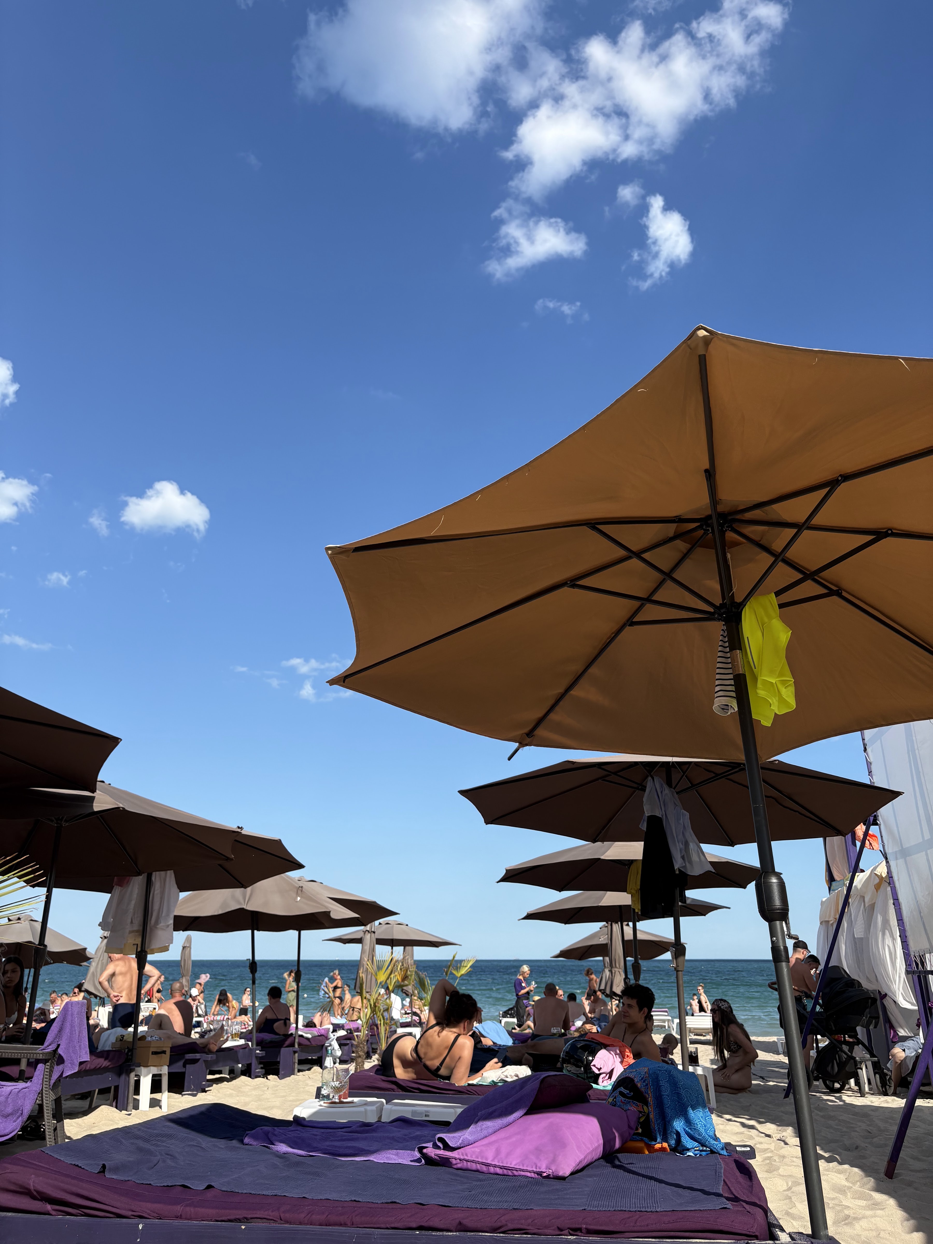 Violet beach club image 4