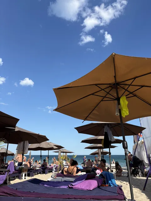 Violet beach club image 4