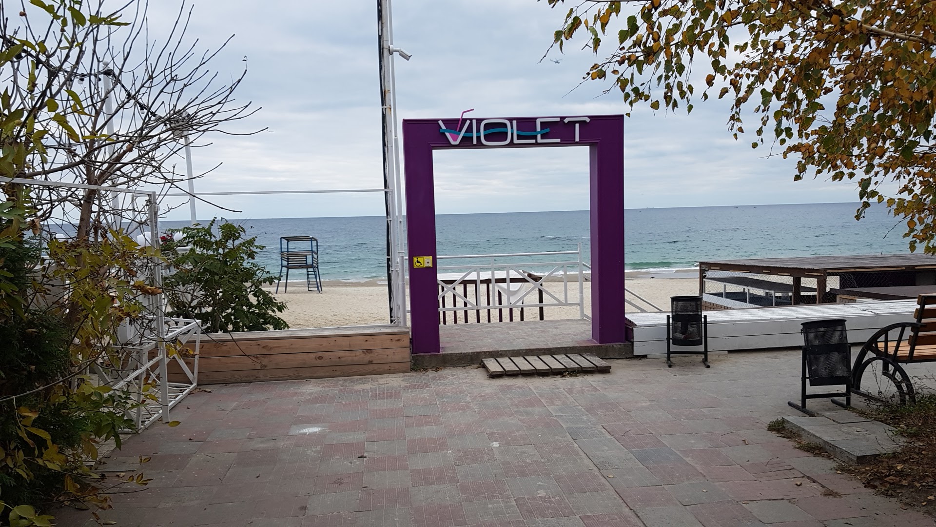Violet beach club image 6