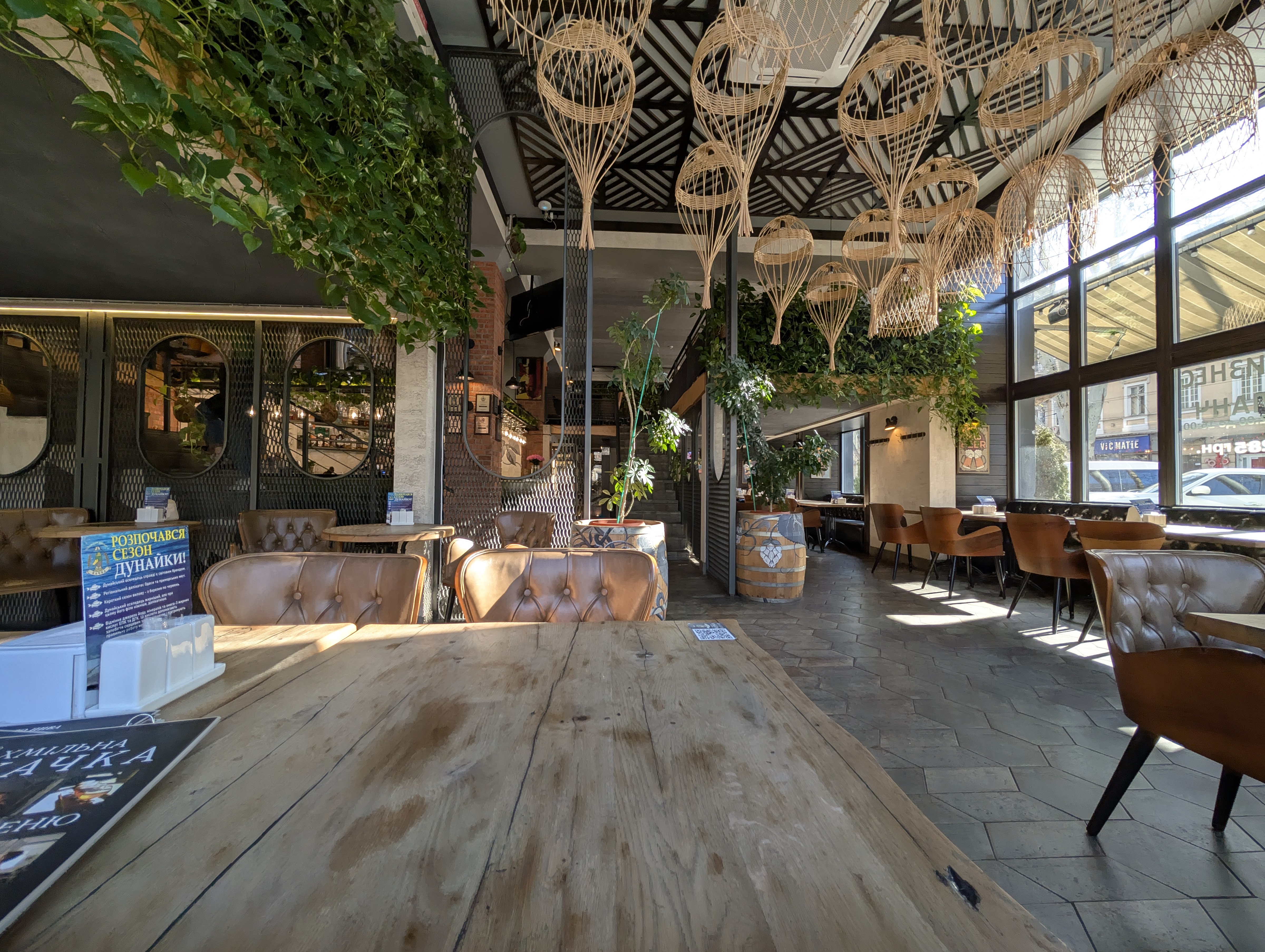 Khmilna Kachka image 4