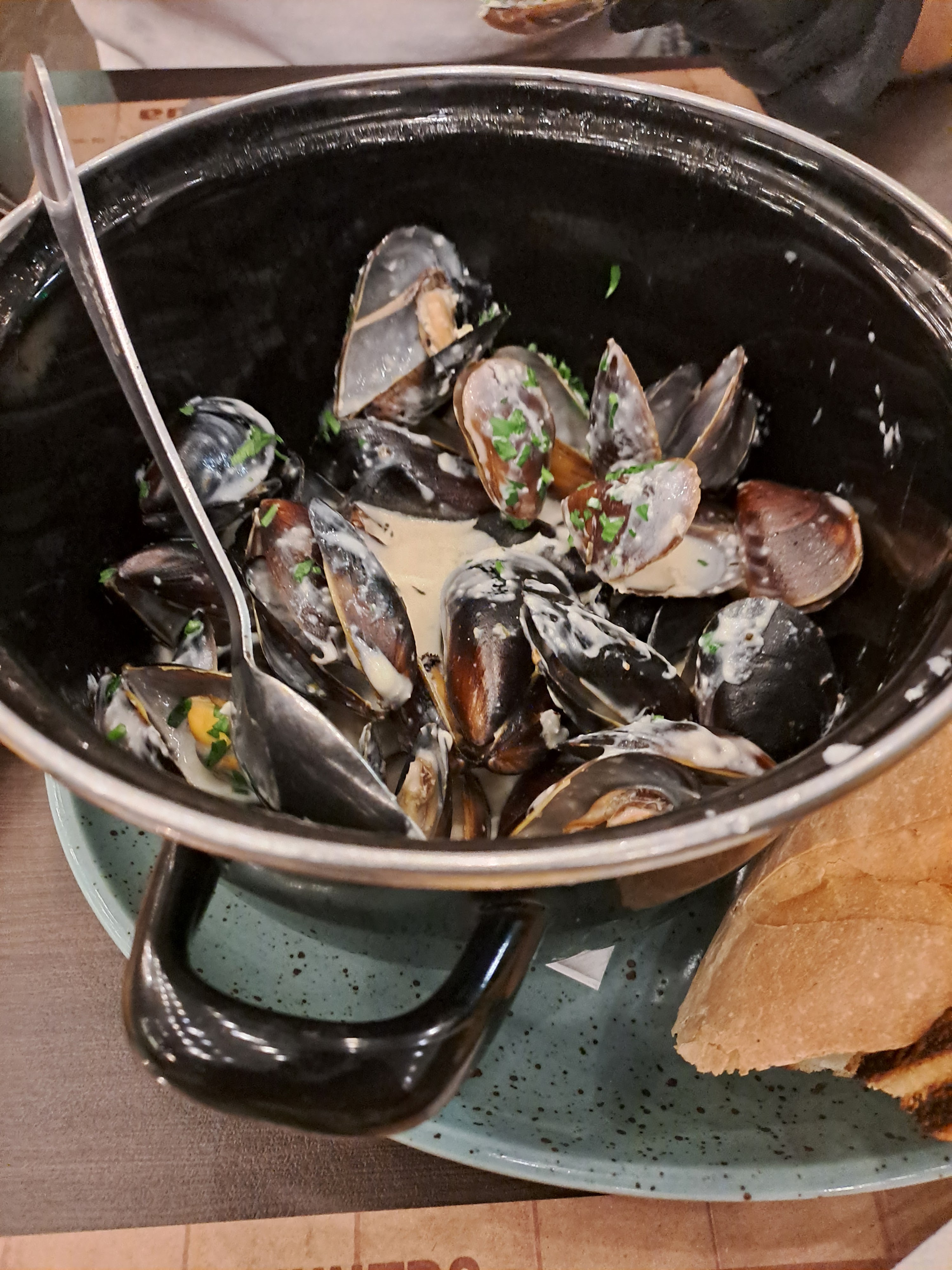 Khmilna Kachka image 9