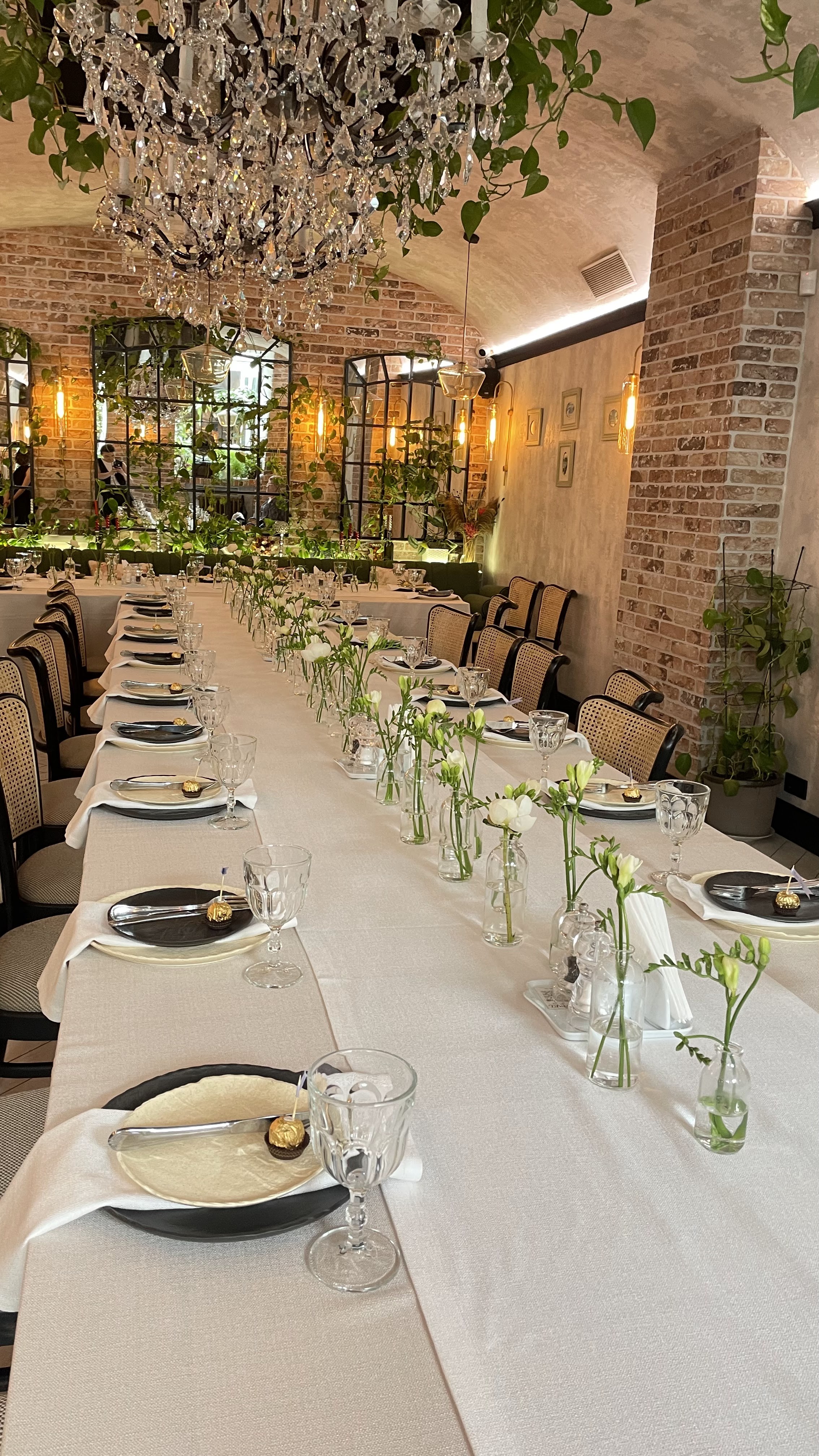 Babel Gardens image 3