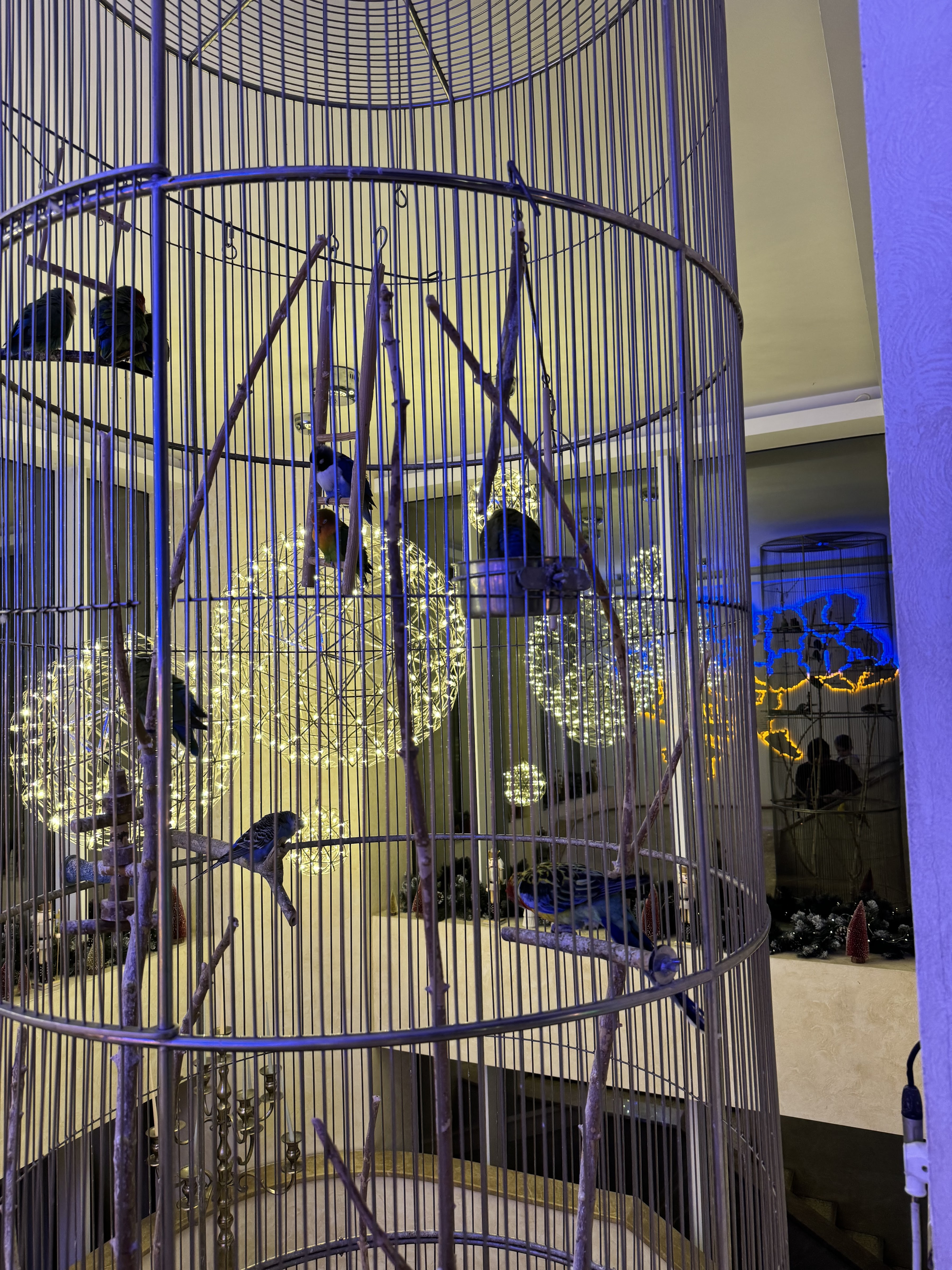 Ресторан Облака image 9