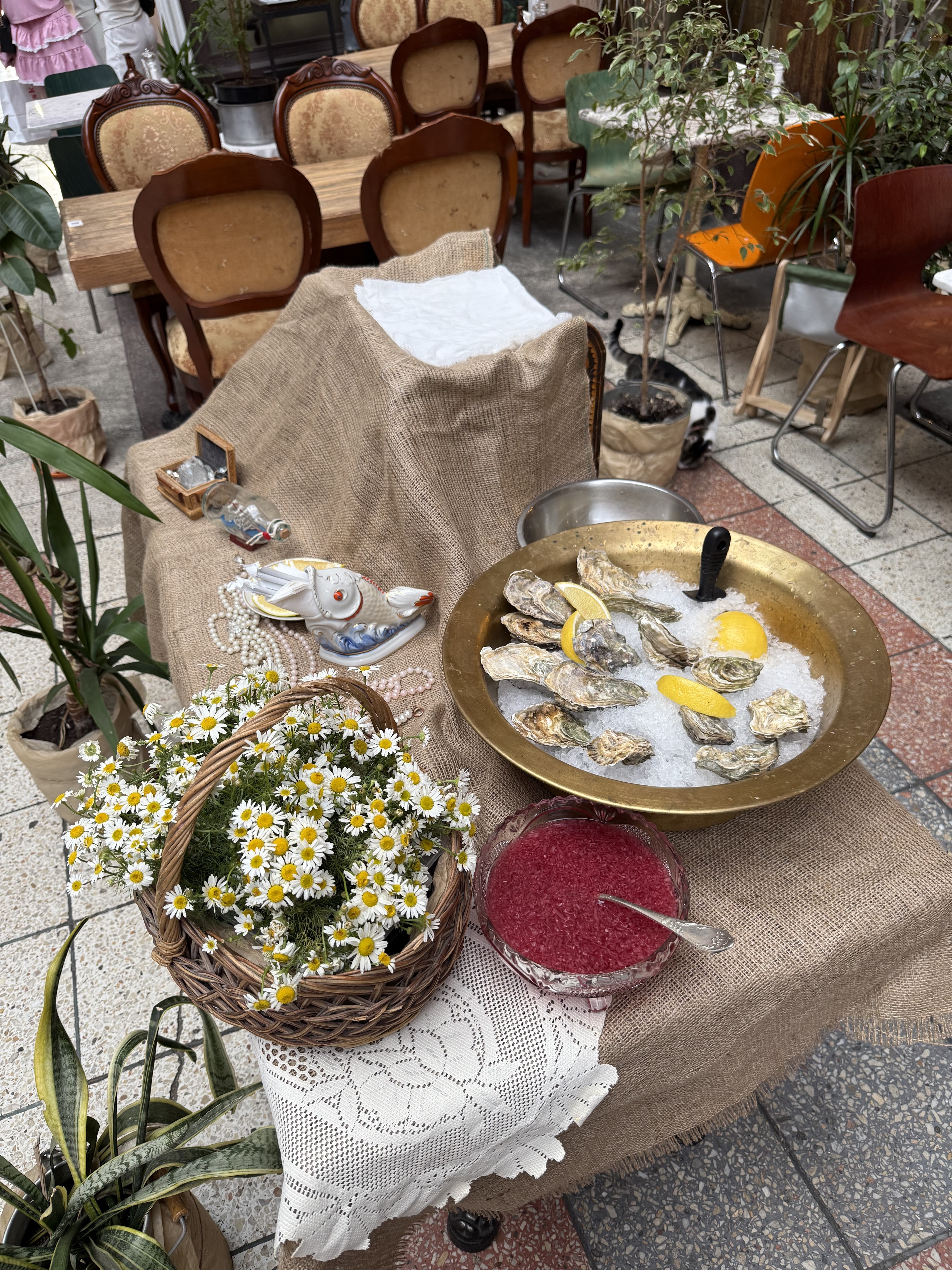 KVITKOVA.Passage image 10