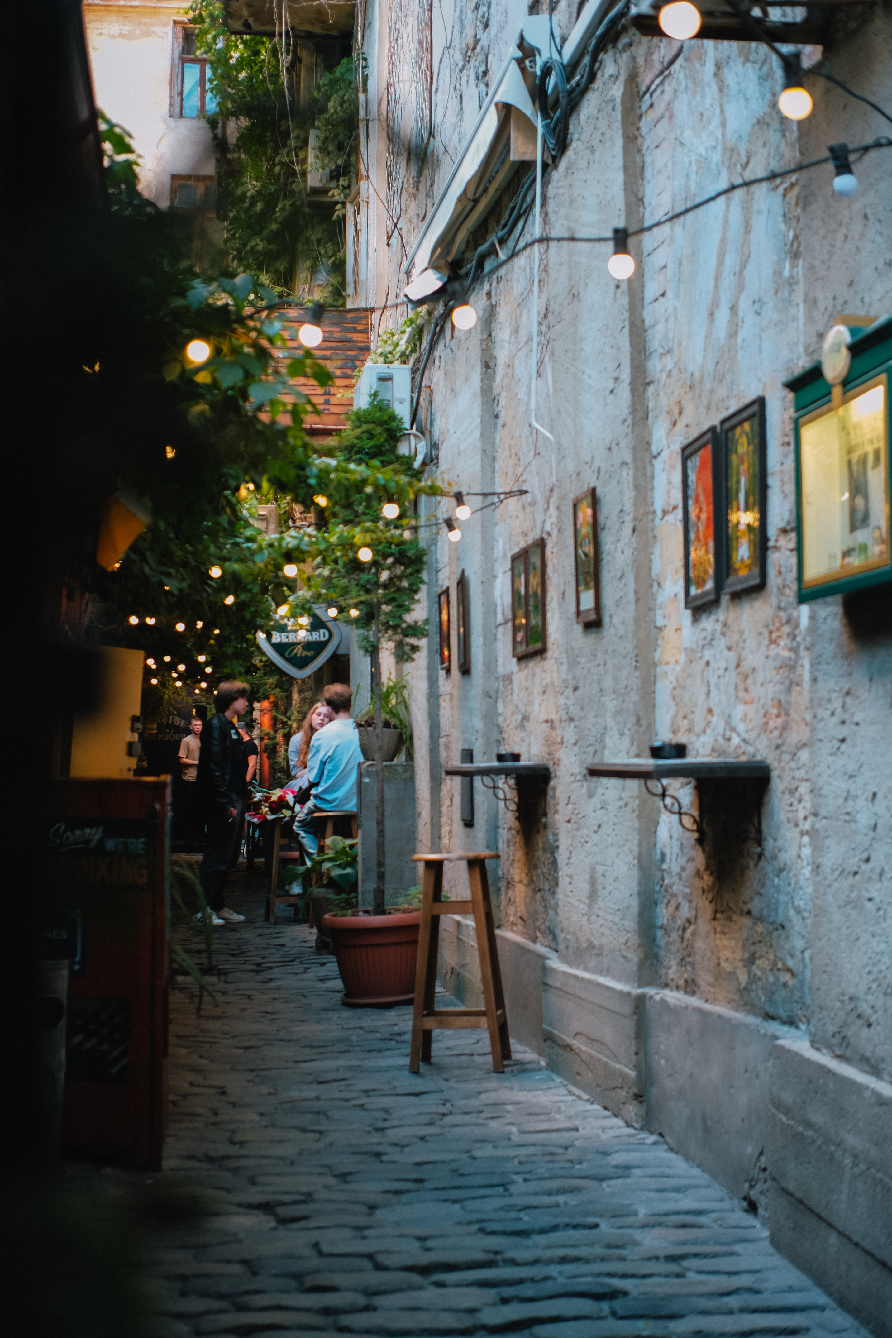 Fox & Pipe - Irish pub image 3