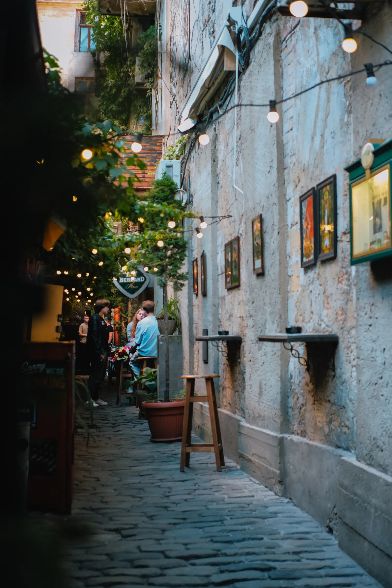 Fox & Pipe - Irish pub image 3
