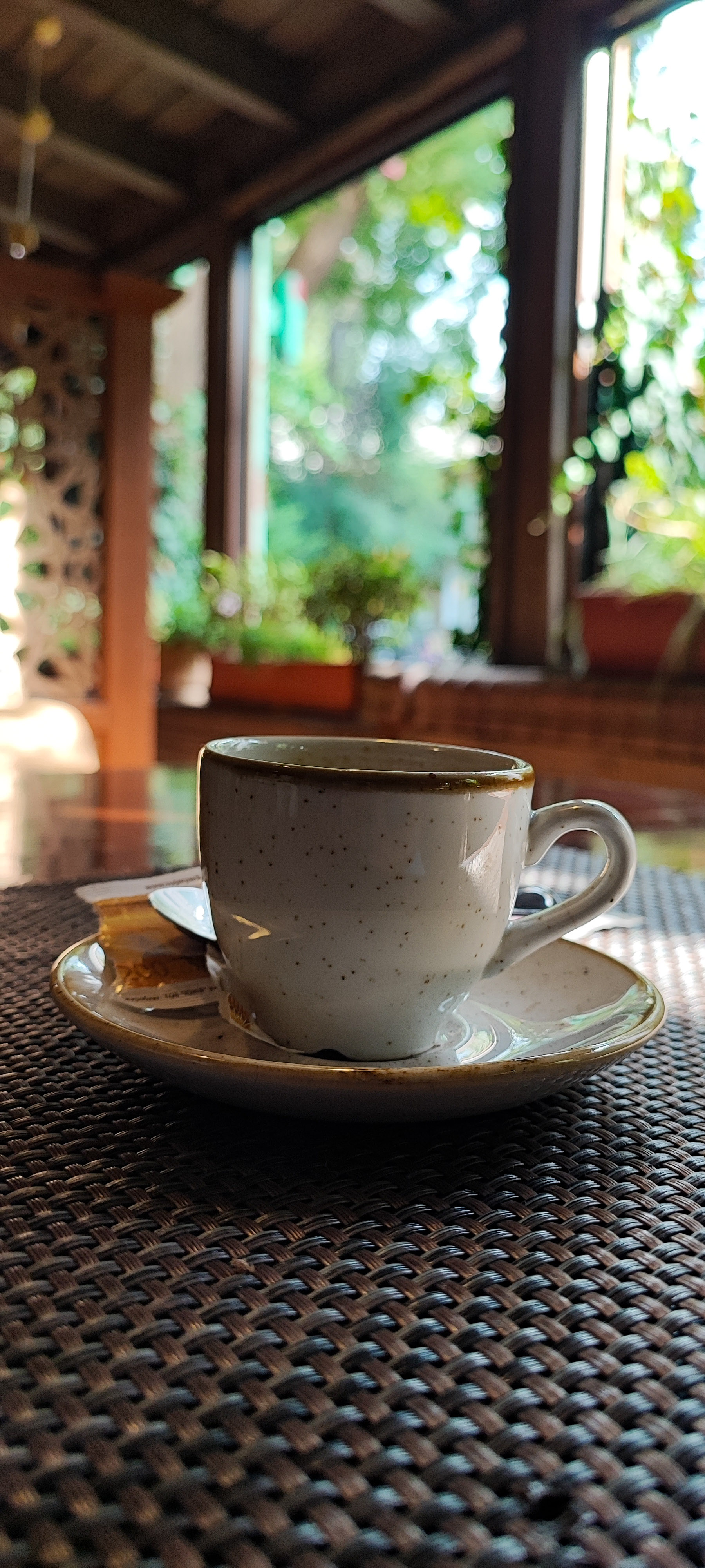 Restoratsiya Otona image 10