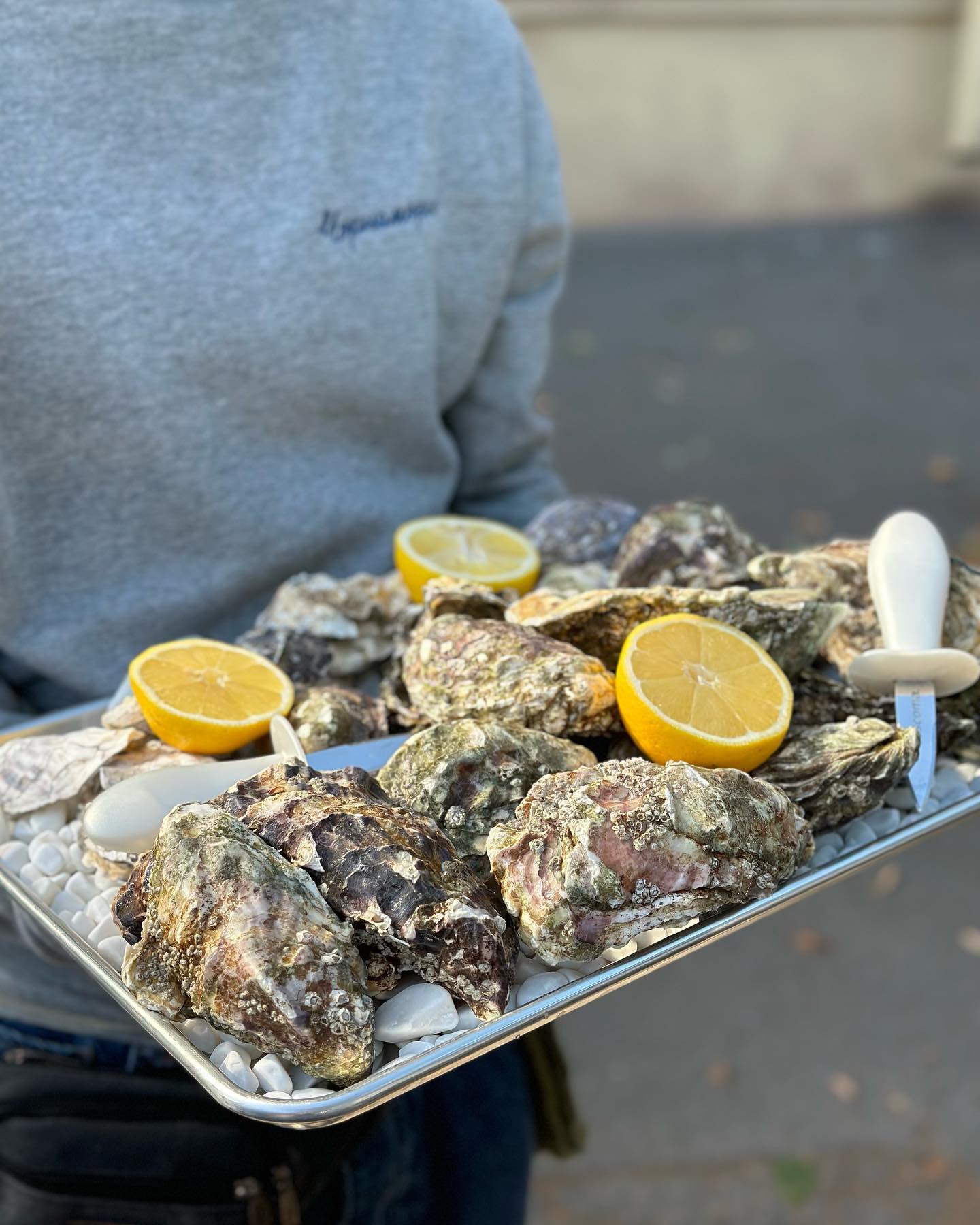 Чорноморка image 2