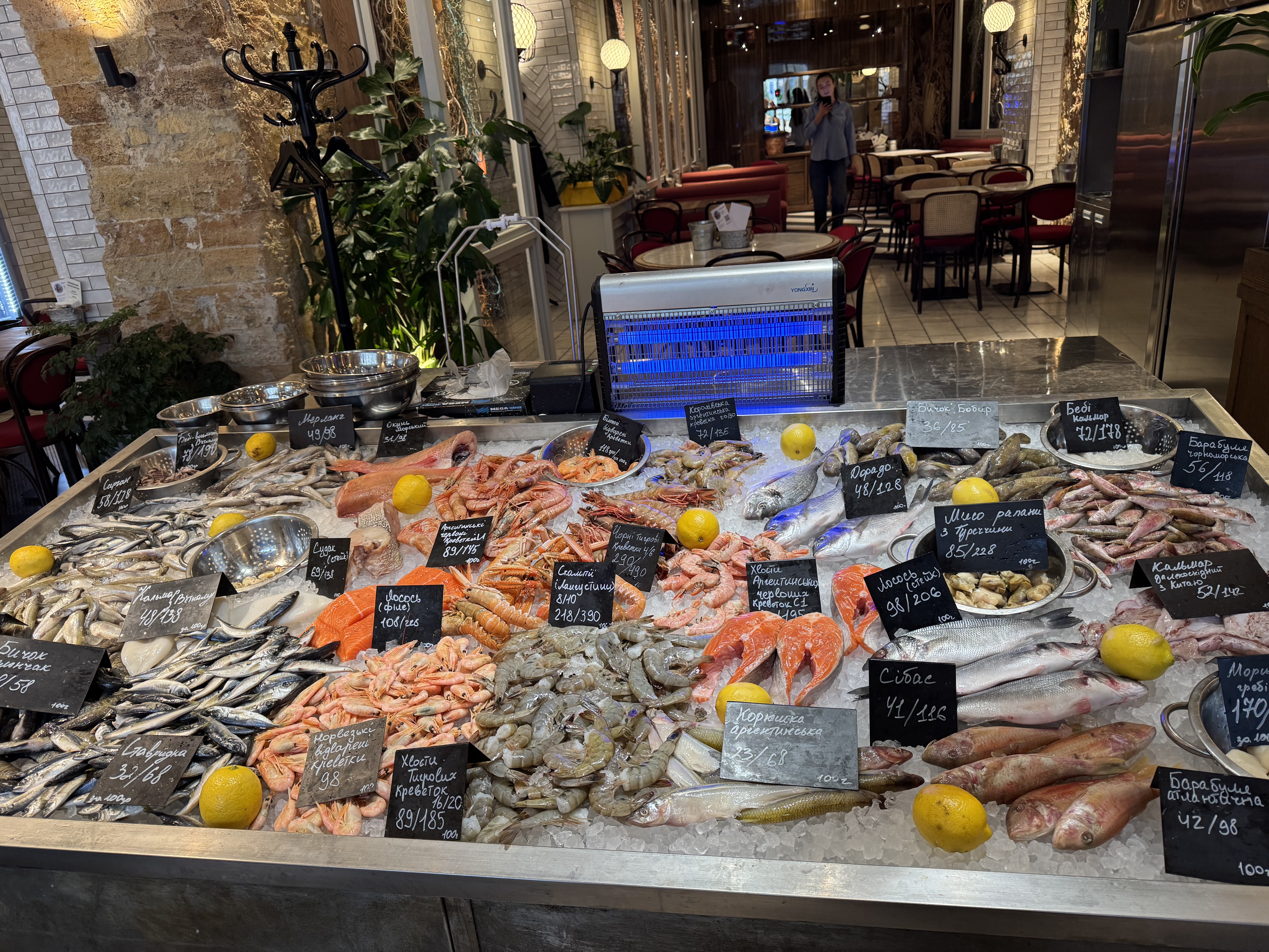 Чорноморка image 7