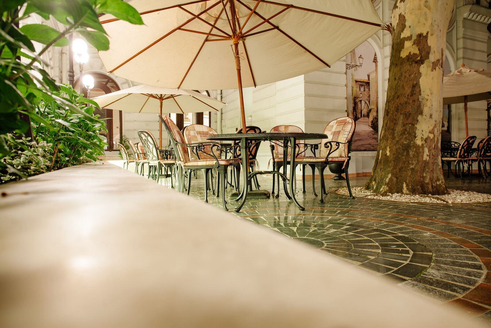 Le Patio image 1
