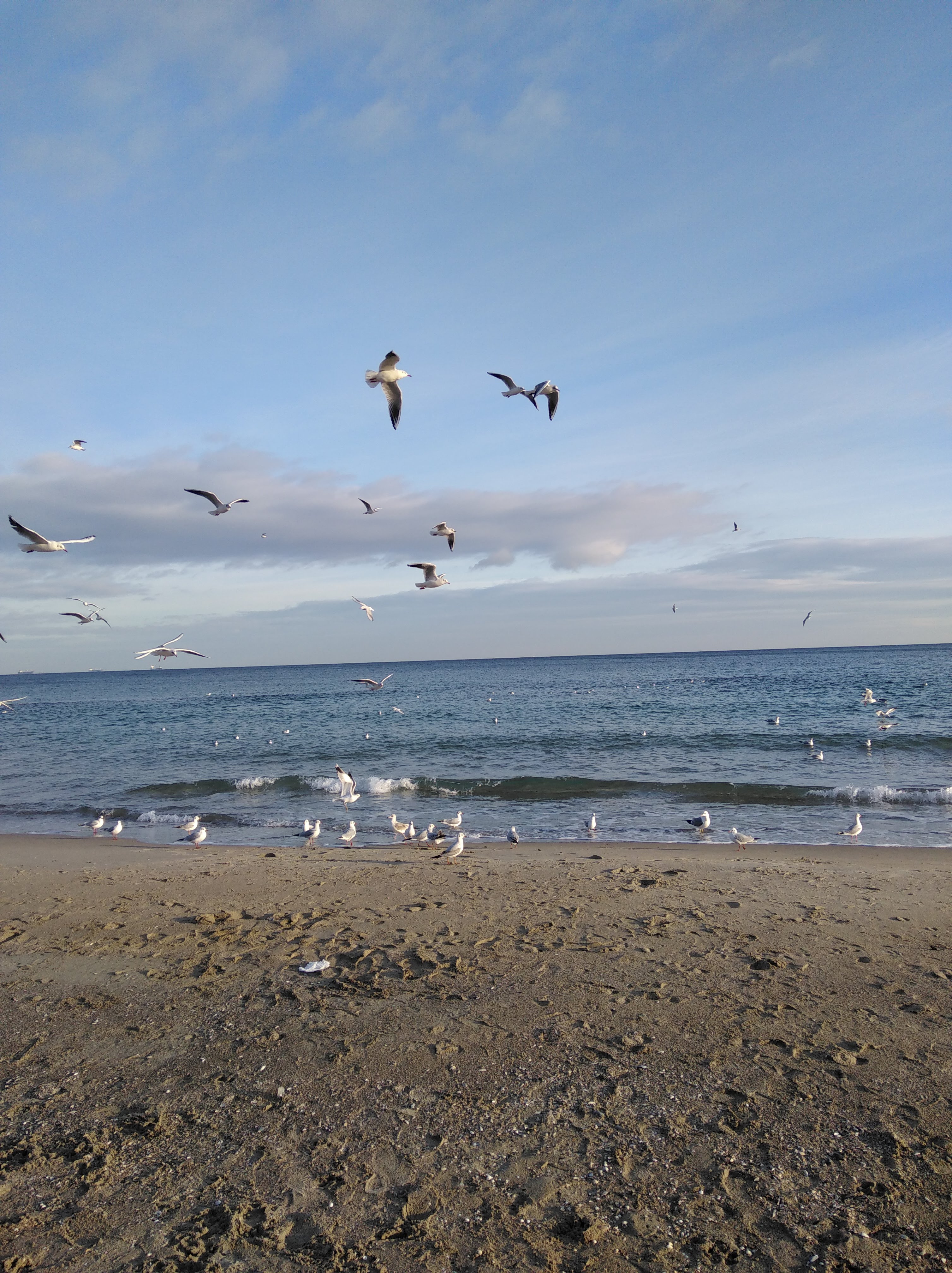 Restoran Mirazh image 8