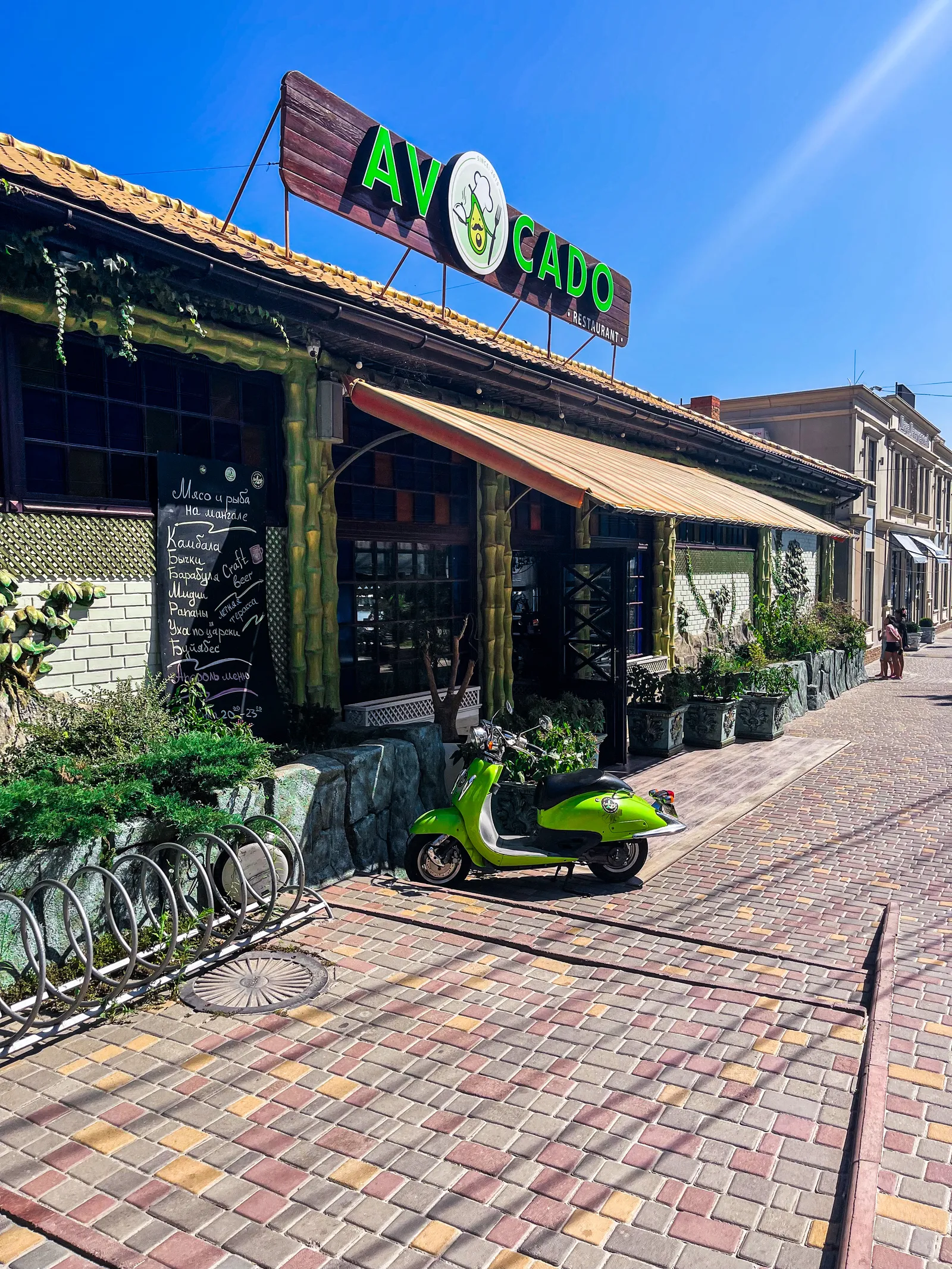 Avokado image 3