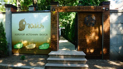 Гайя image 3