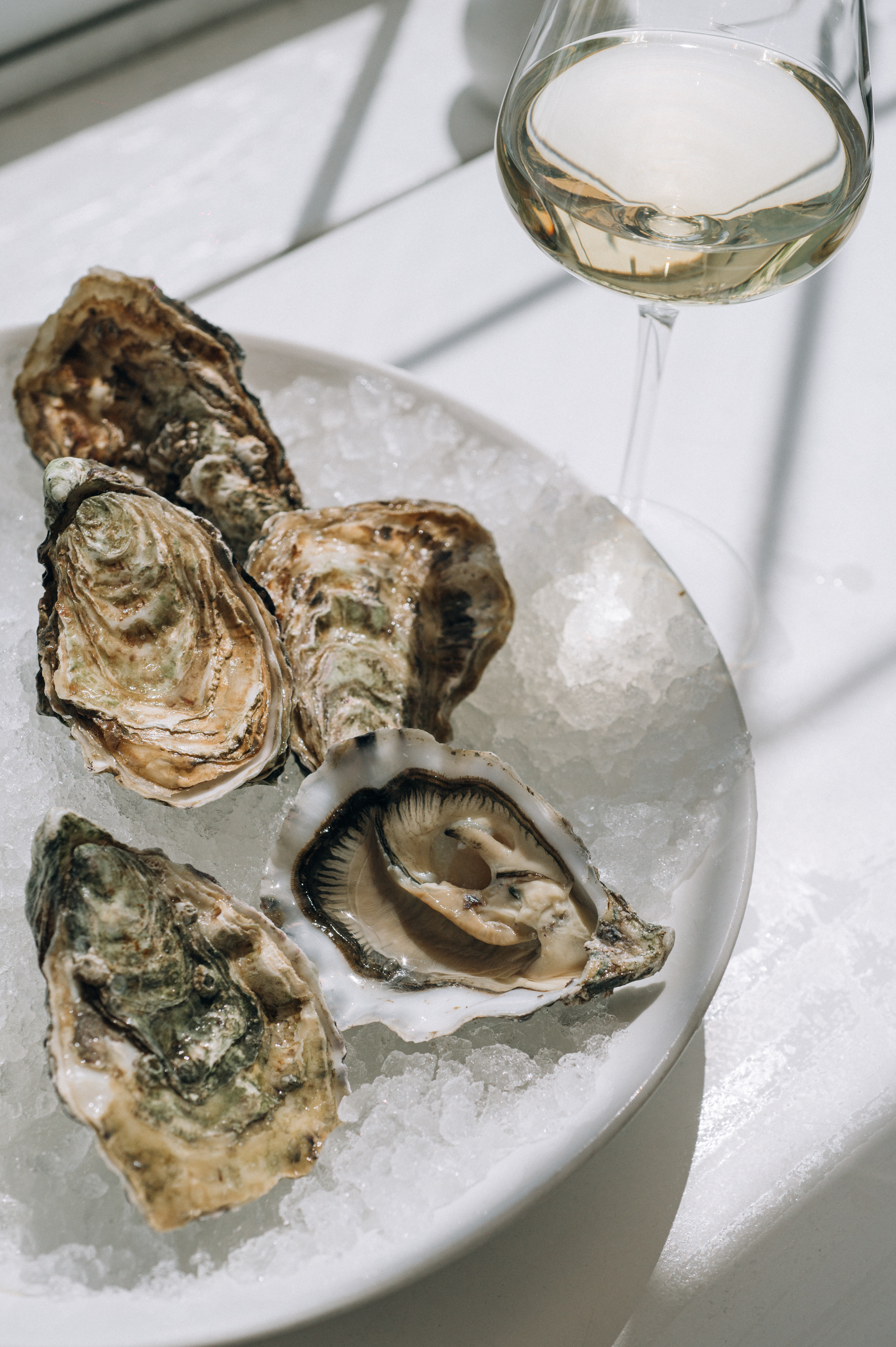 Terrace. Sea View image 2