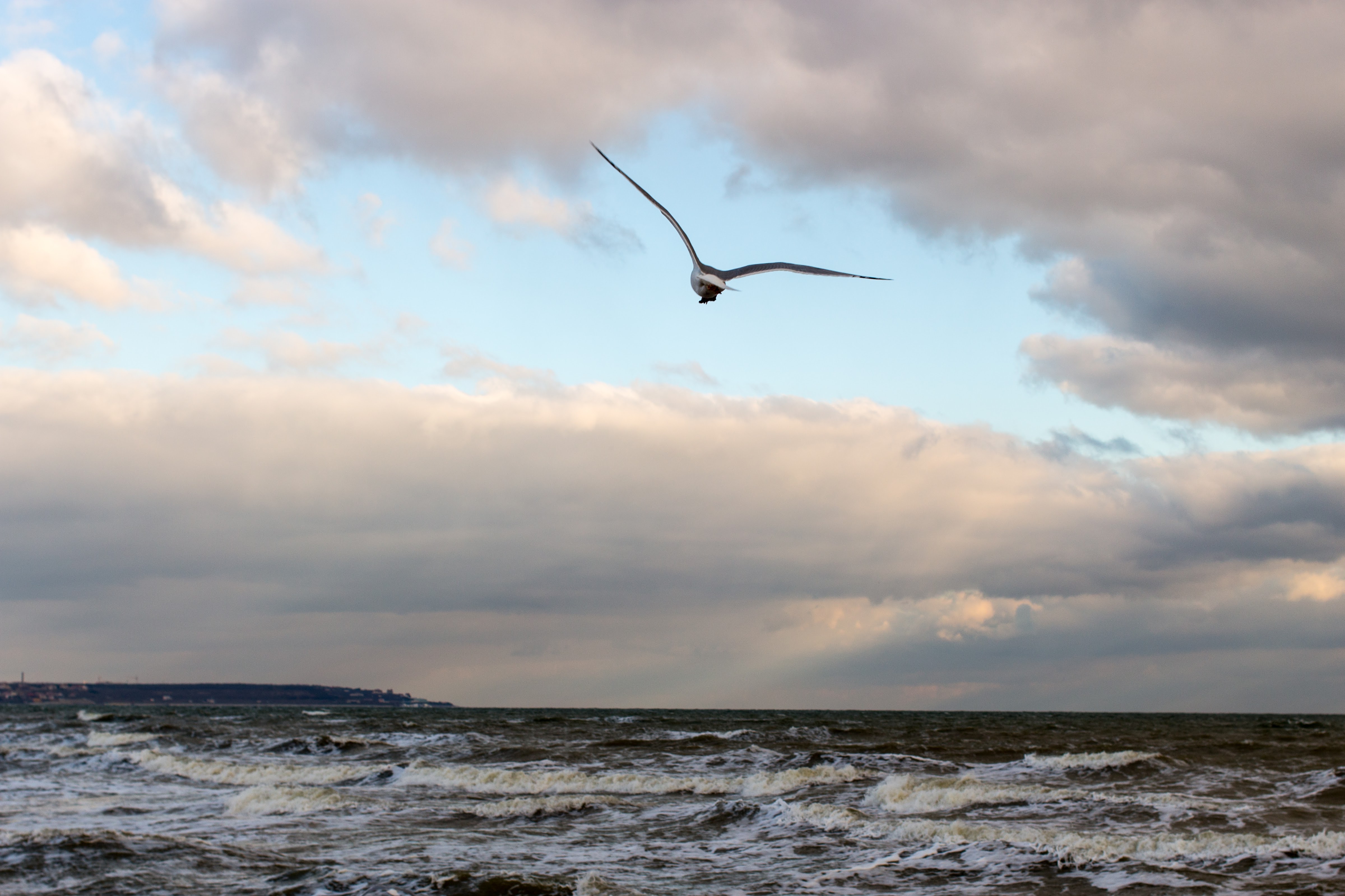 Гостьовий дім "Calypso" image 3