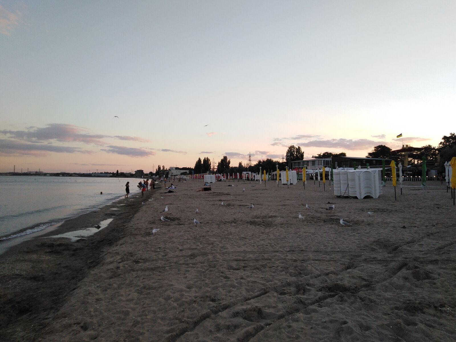Skandi image 6