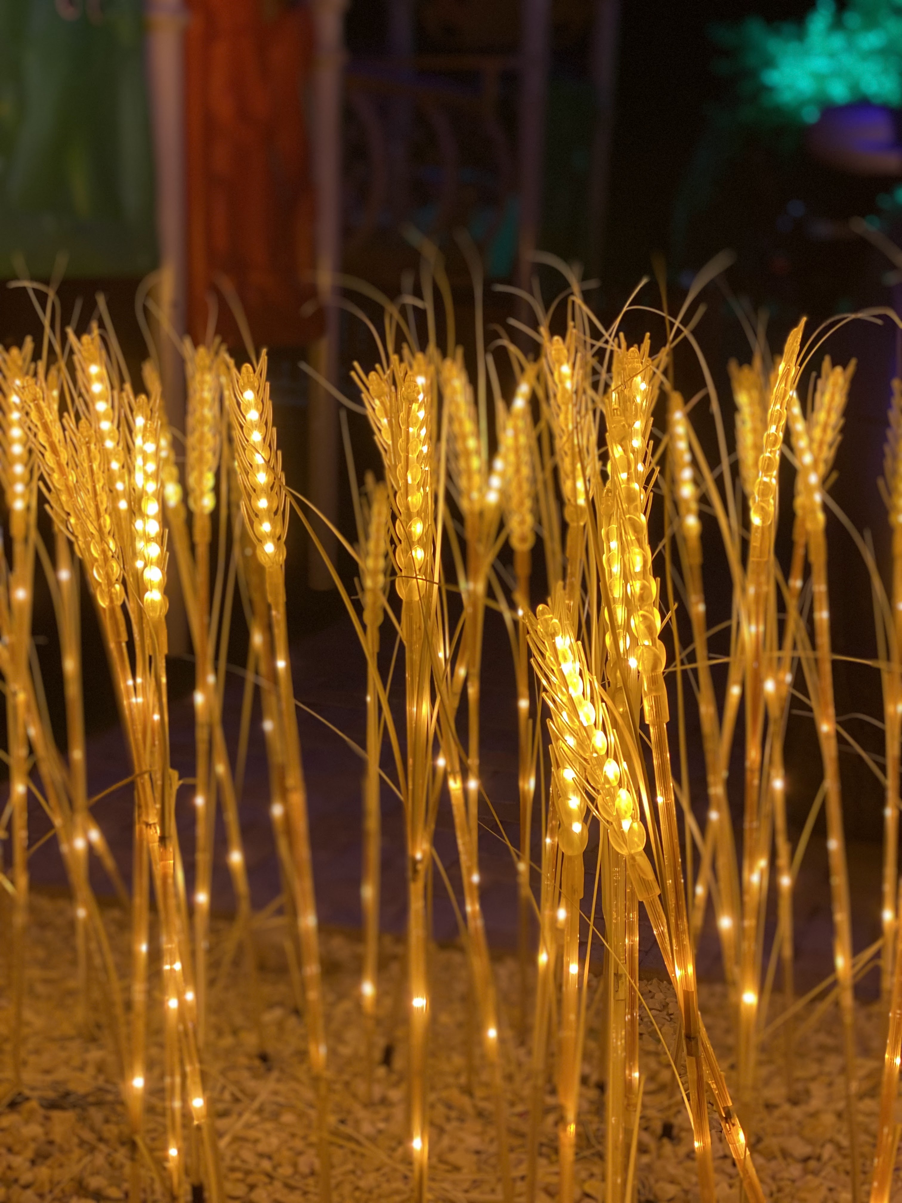 Ресторан «Море» image 5