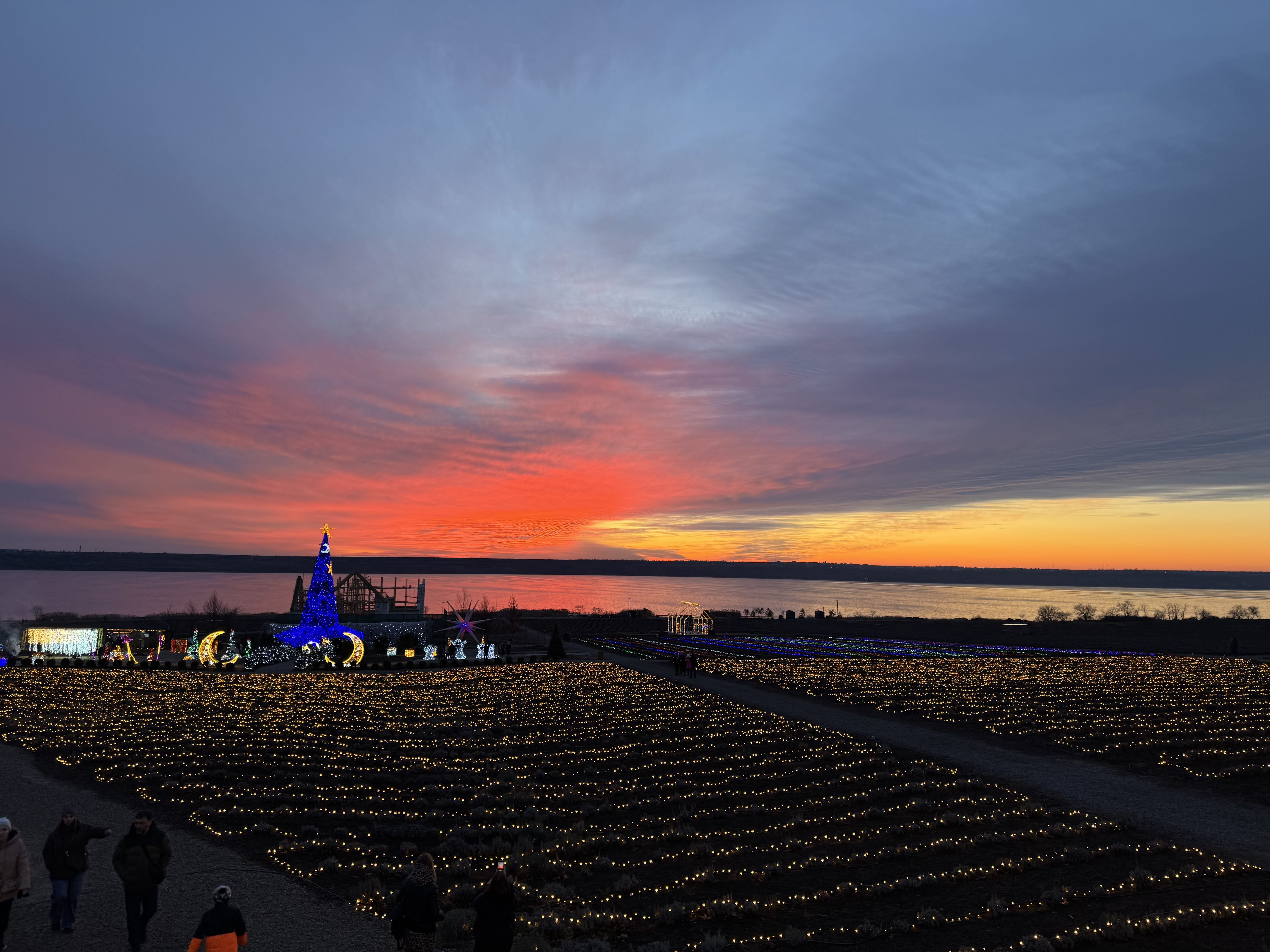 RIDNI IN LAVANDIIA image 3