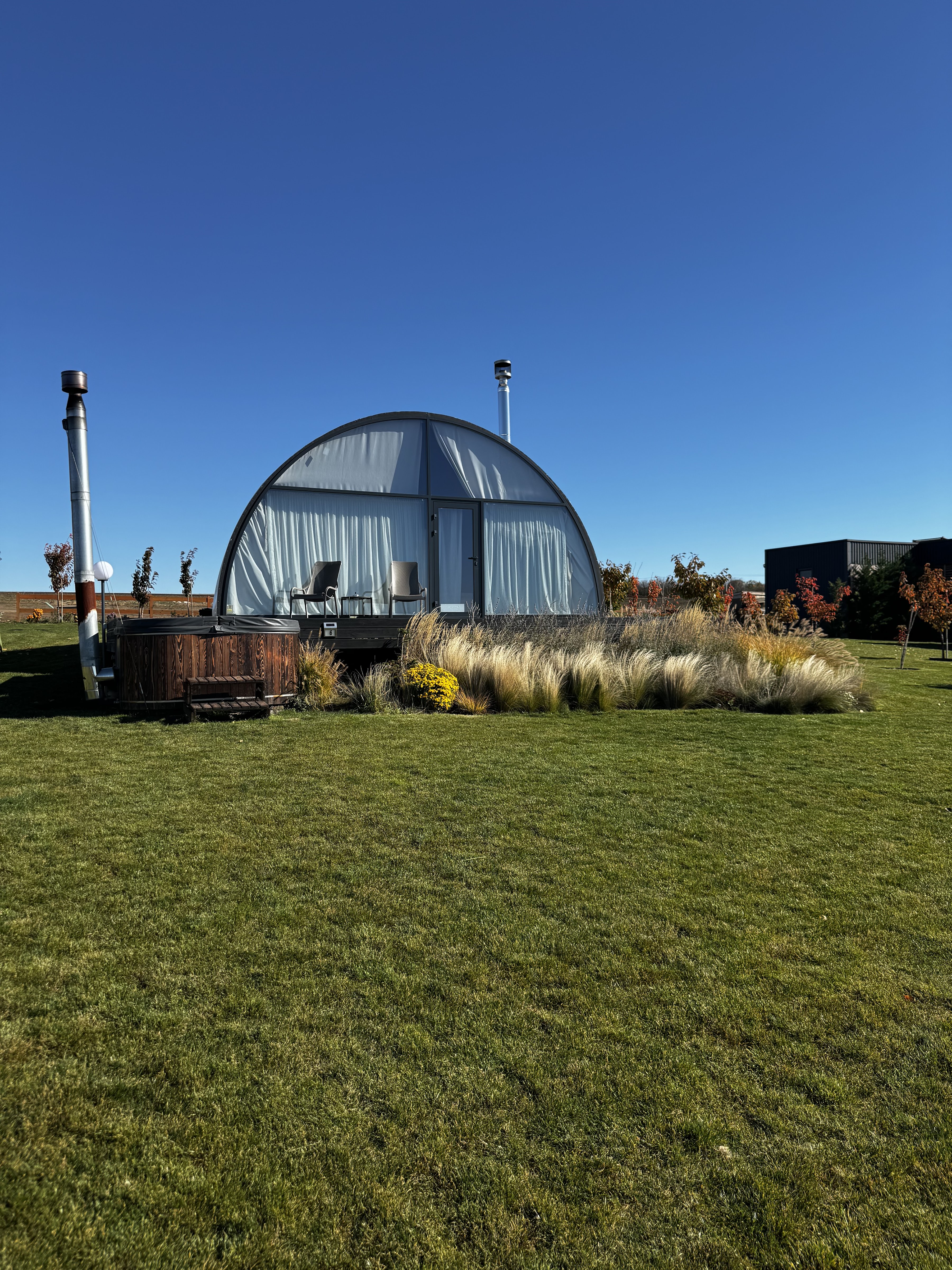 RIDNI IN LAVANDIIA image 6