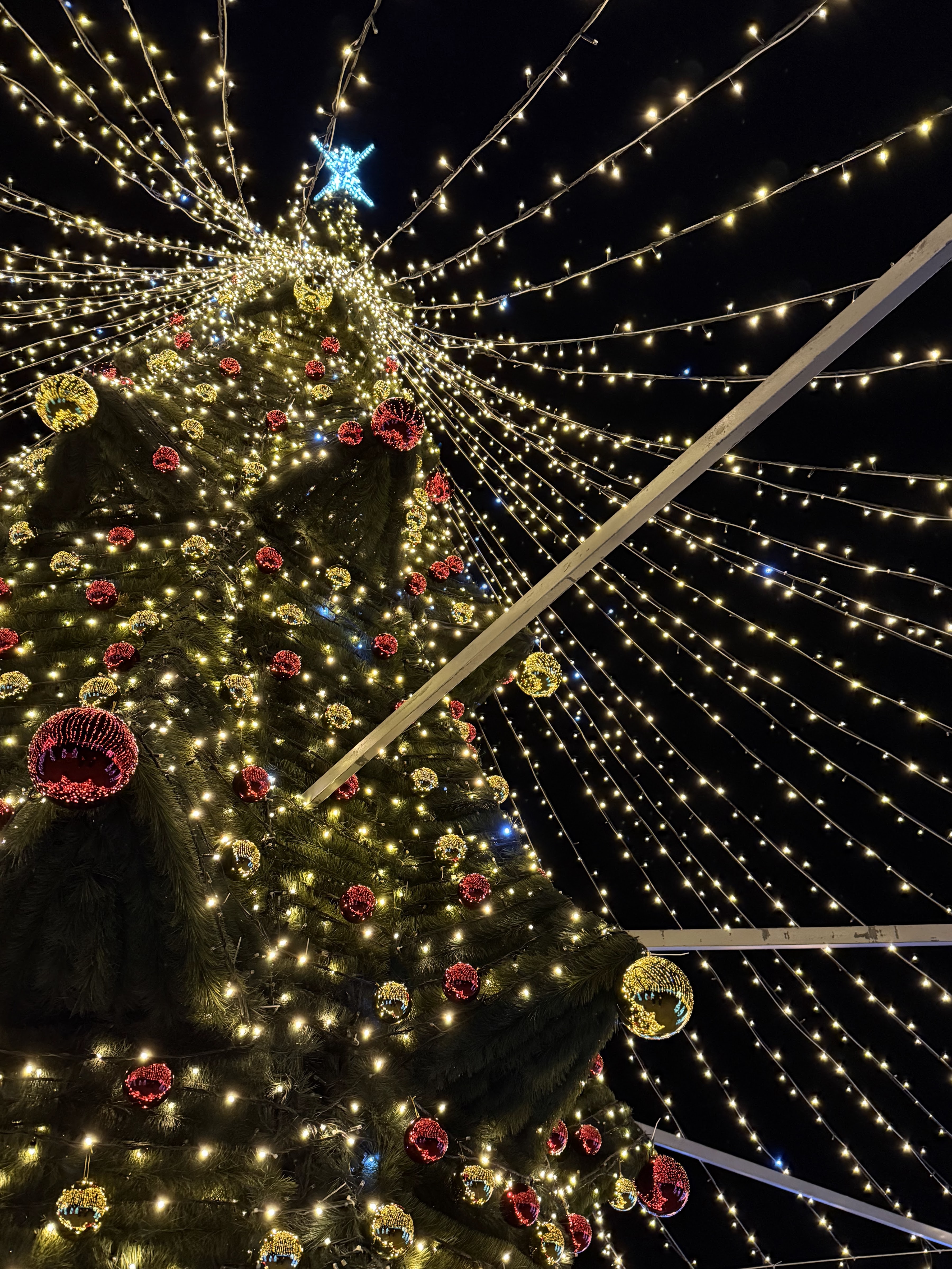 RIDNI IN LAVANDIIA image 7