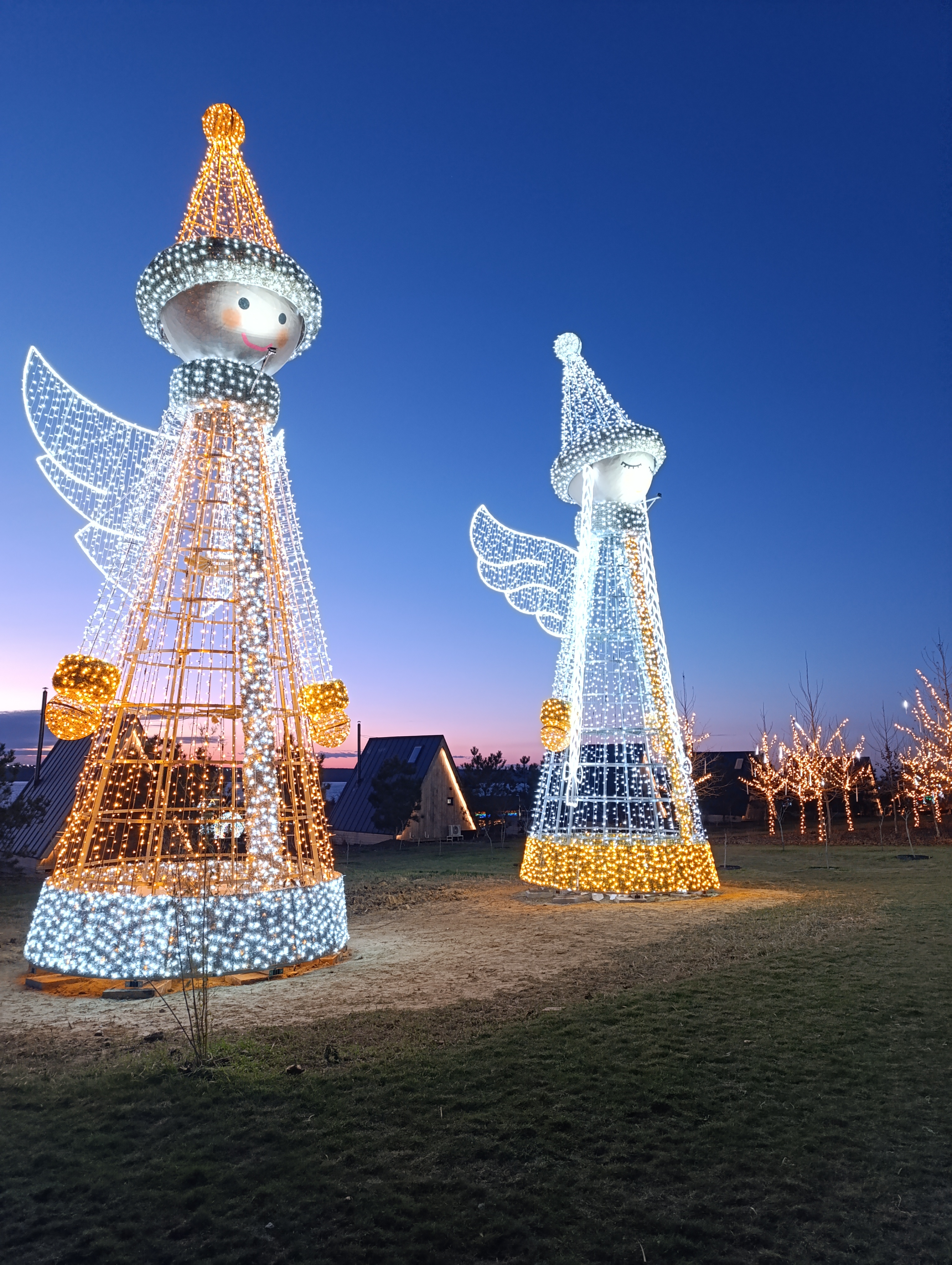 RIDNI IN LAVANDIIA image 10