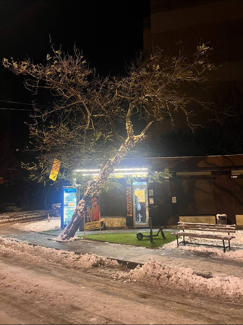 Шаурма У Дерева image 4